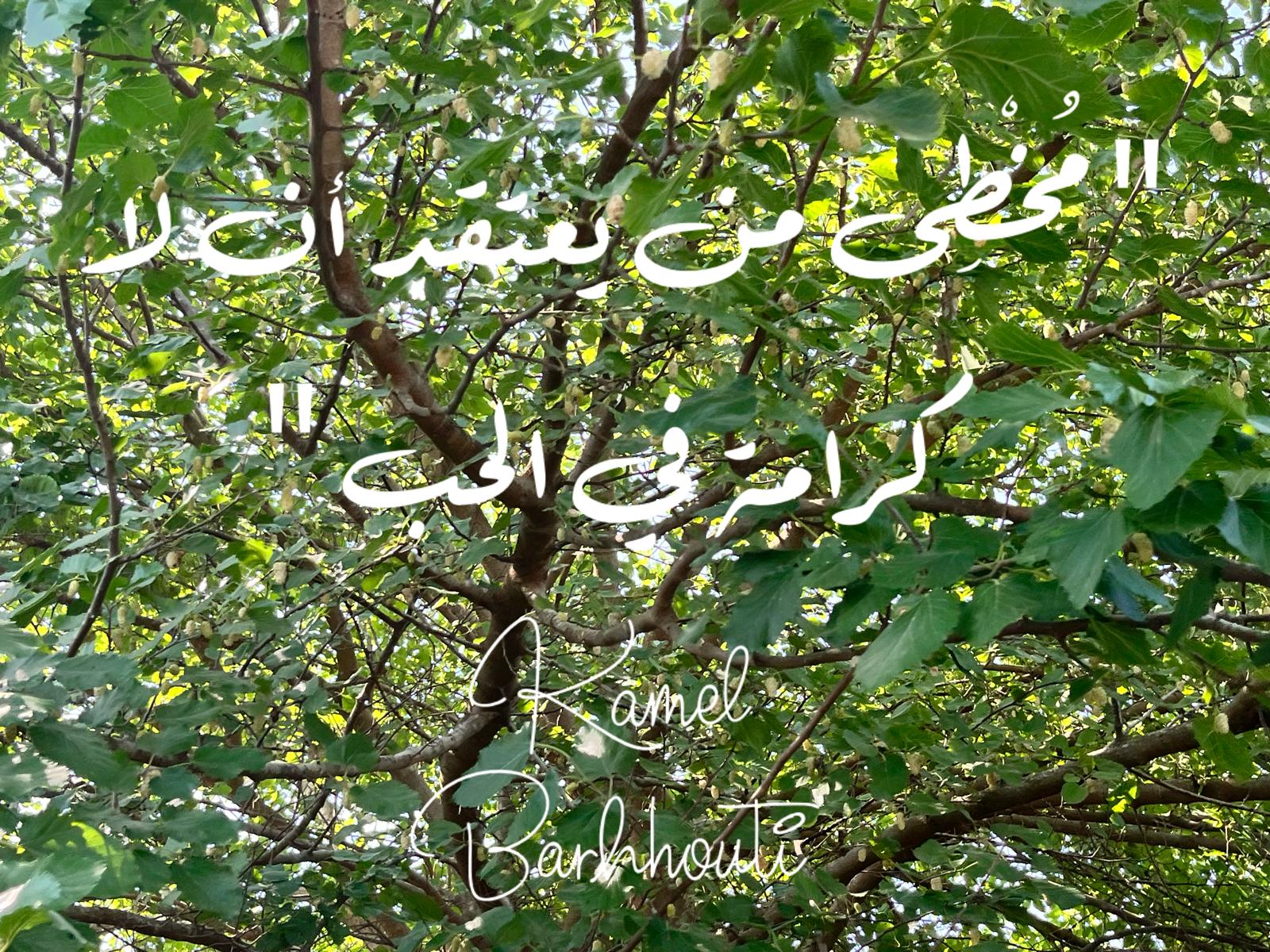 فخر وكرامة – اقتباس 125