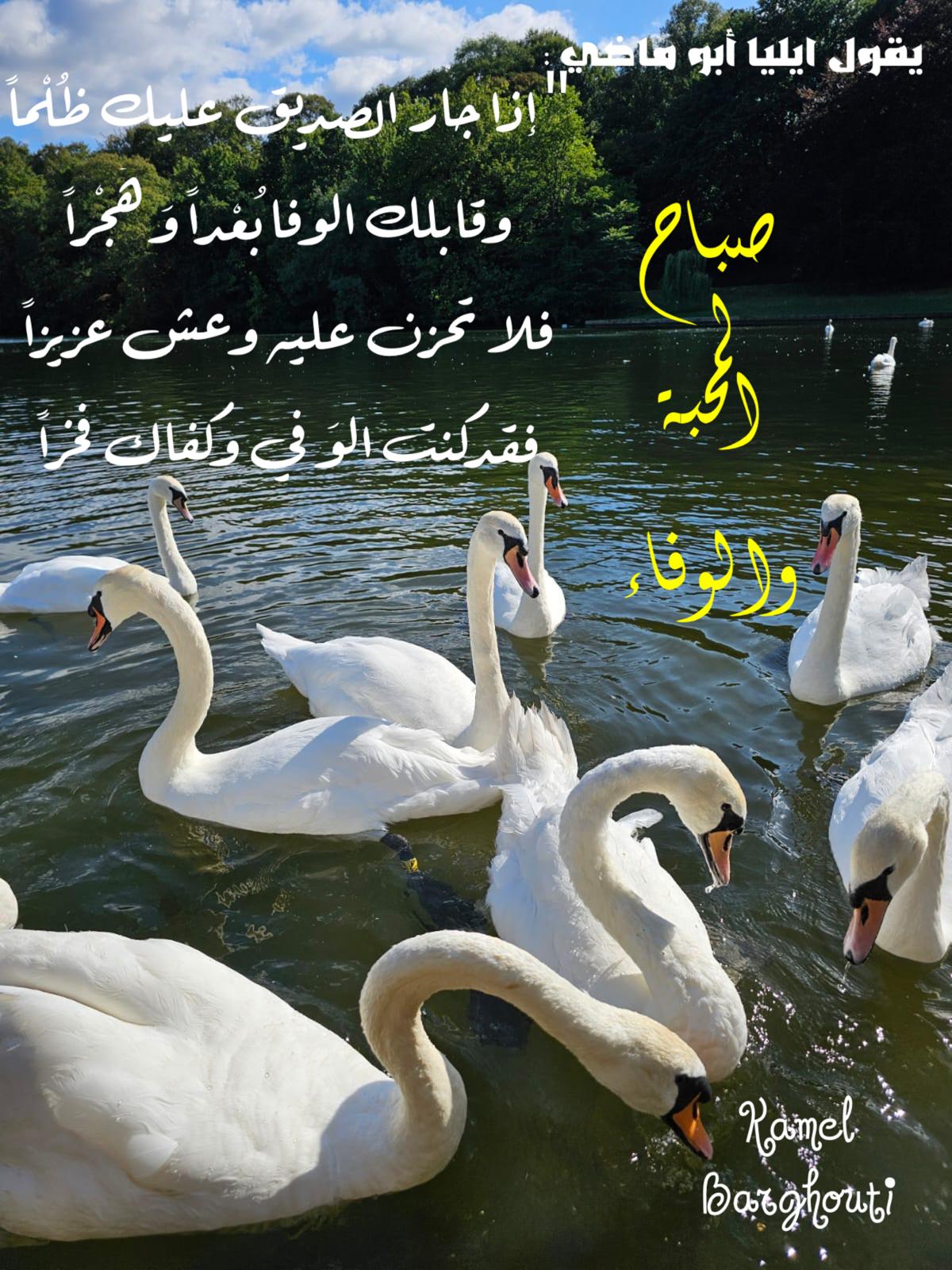 فخر وكرامة – اقتباس 121