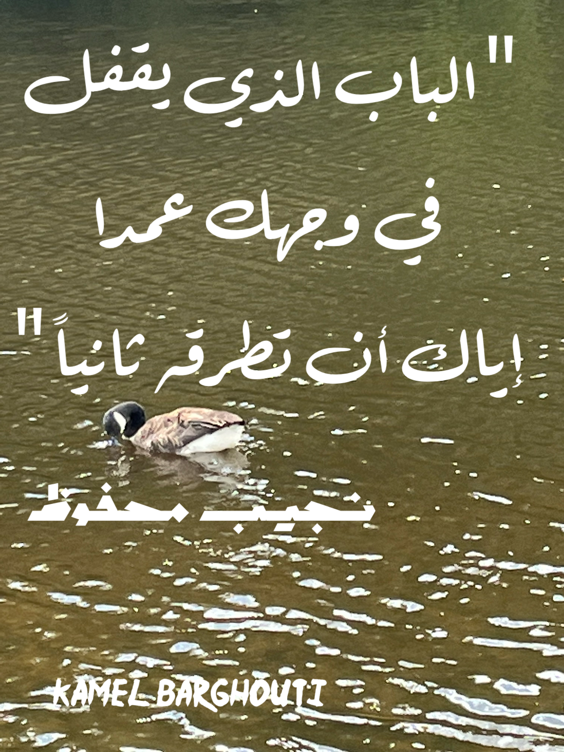 تفاؤل, أمل, وسعادة – اقتباس 20