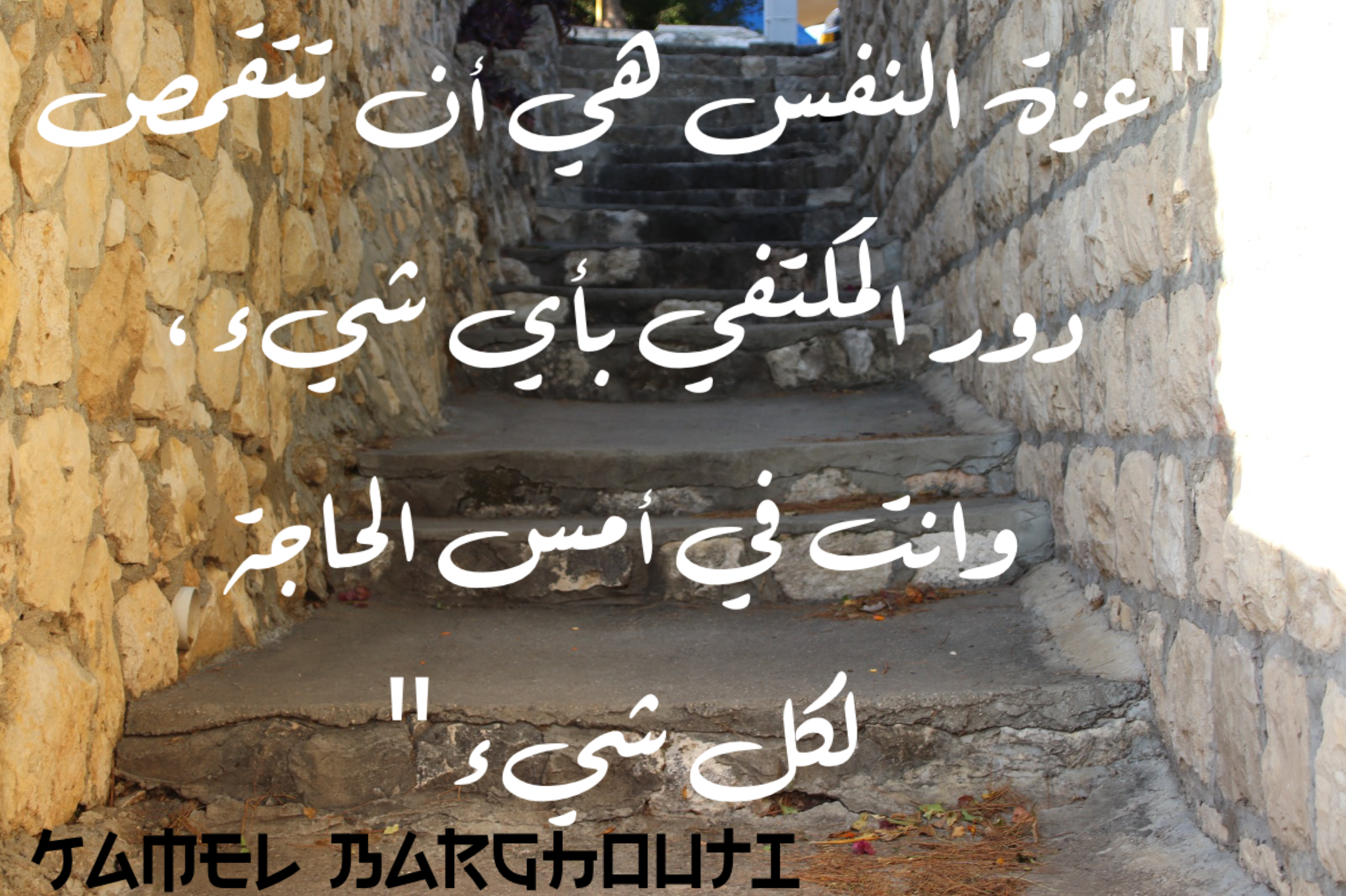 تفاؤل, أمل, وسعادة – اقتباس 12