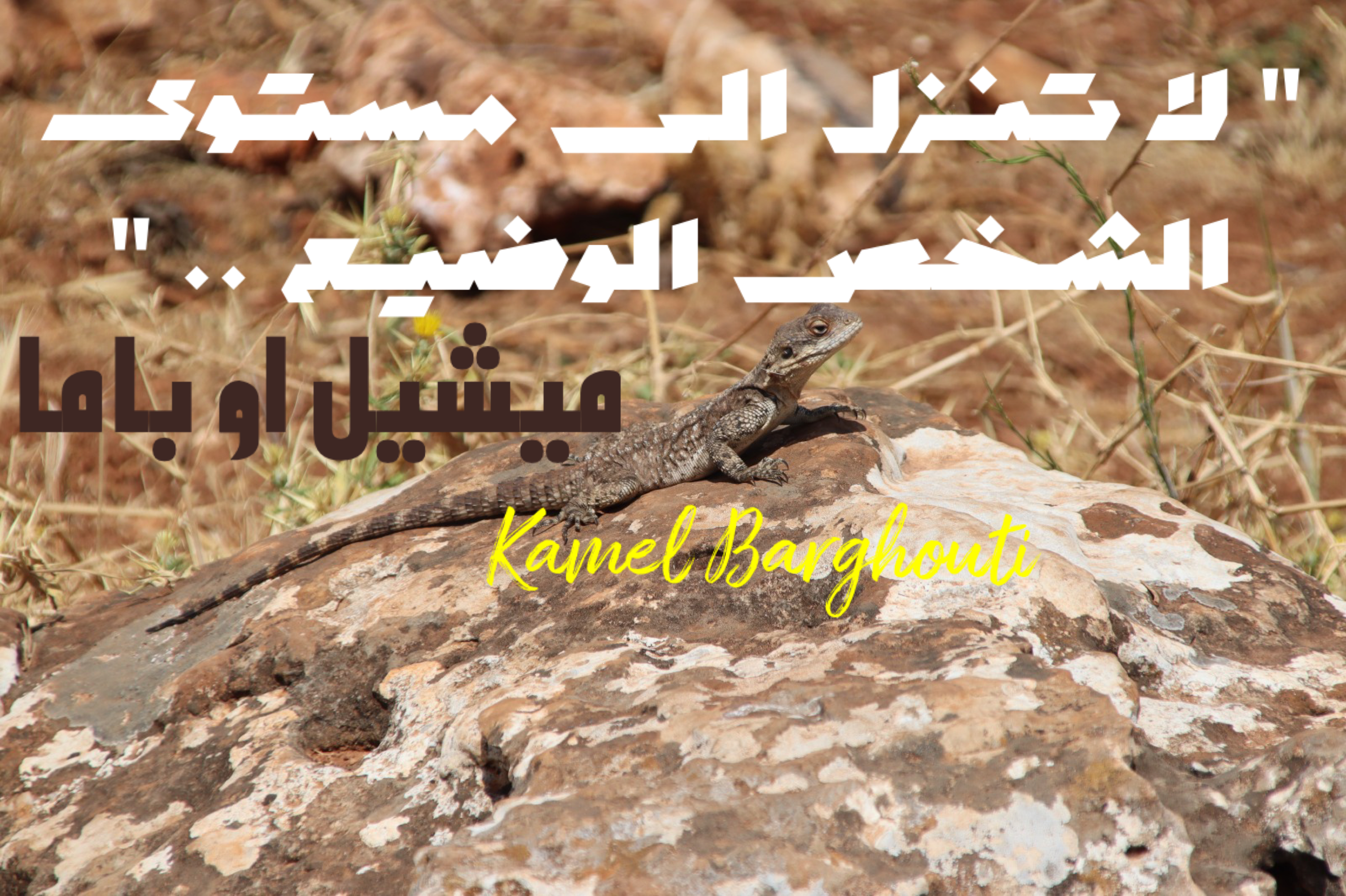 تفاؤل, أمل, وسعادة – اقتباس 3