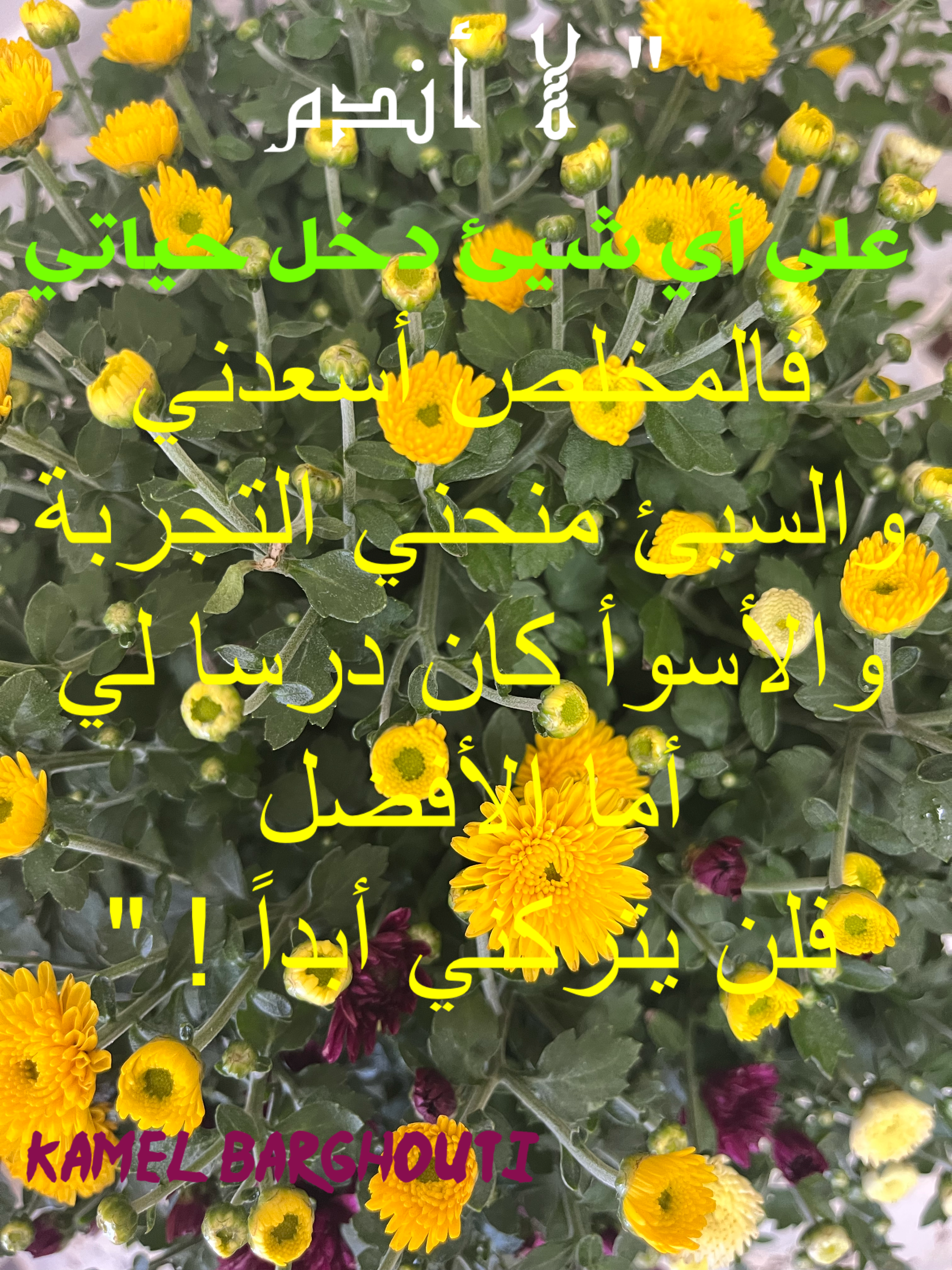 فخر وكرامة – اقتباس 51