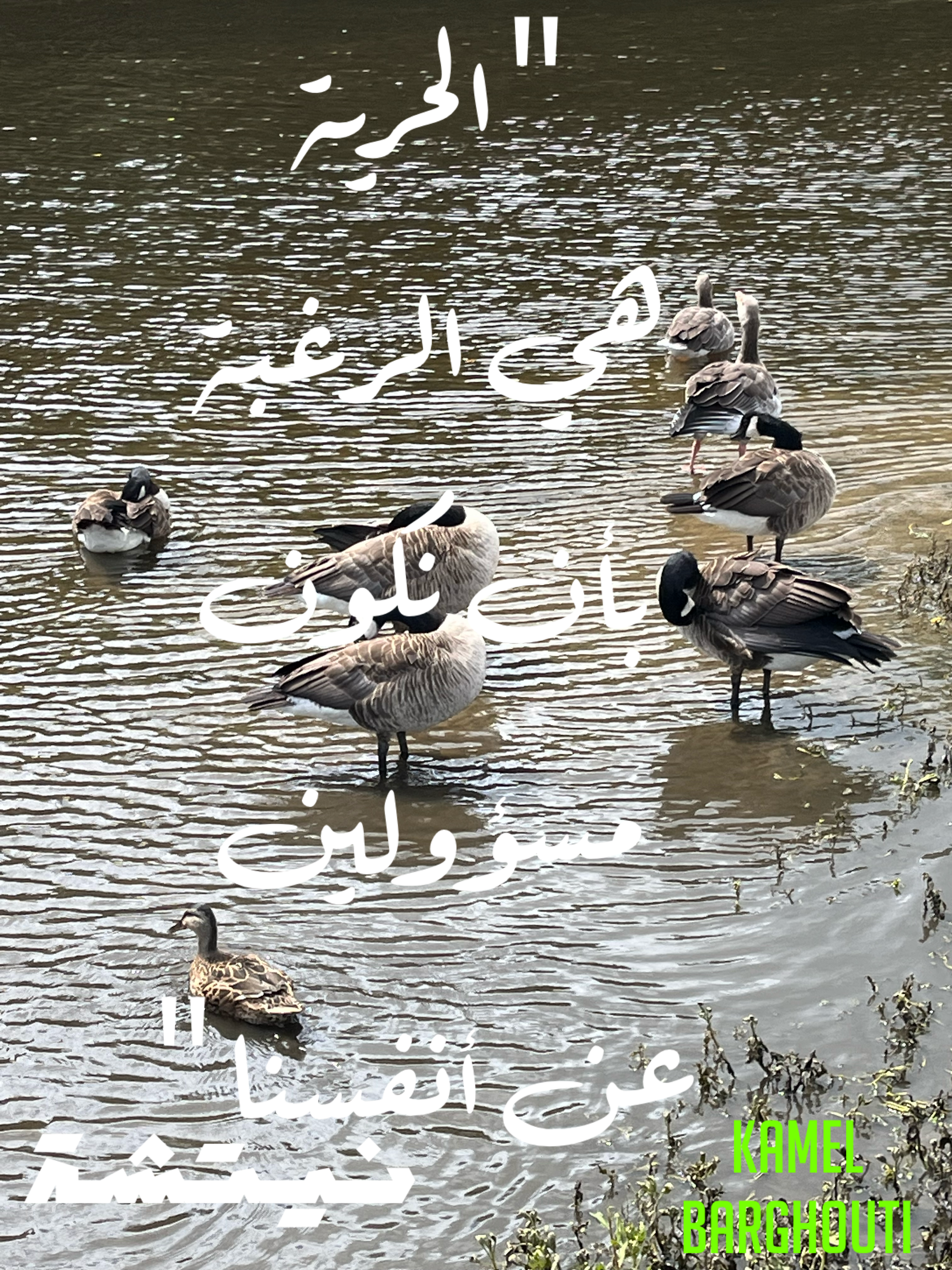 فخر وكرامة – اقتباس 43