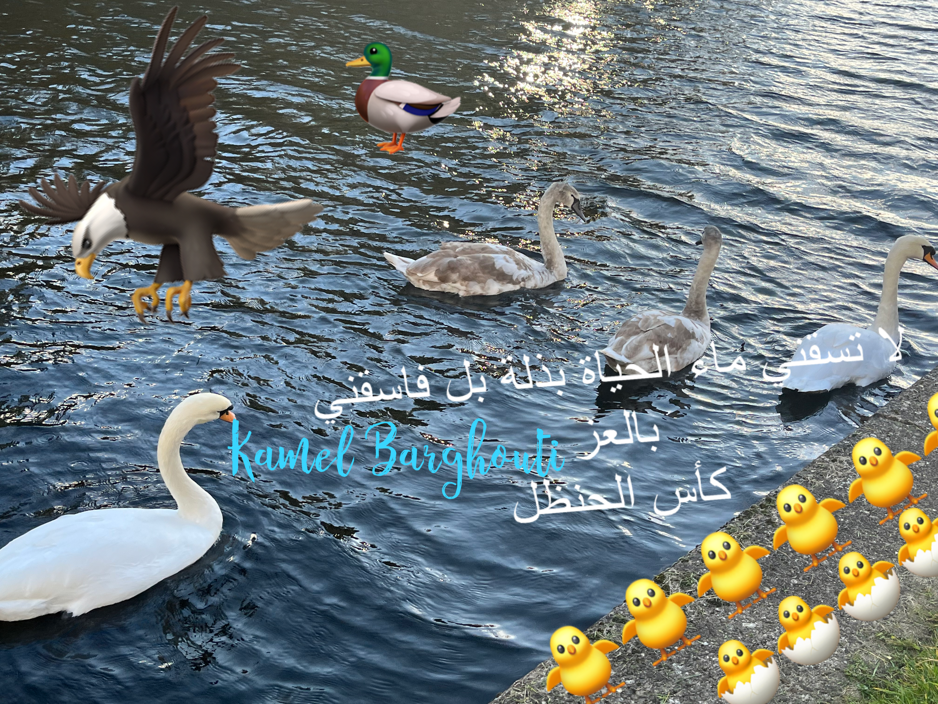 فخر وكرامة – اقتباس 22