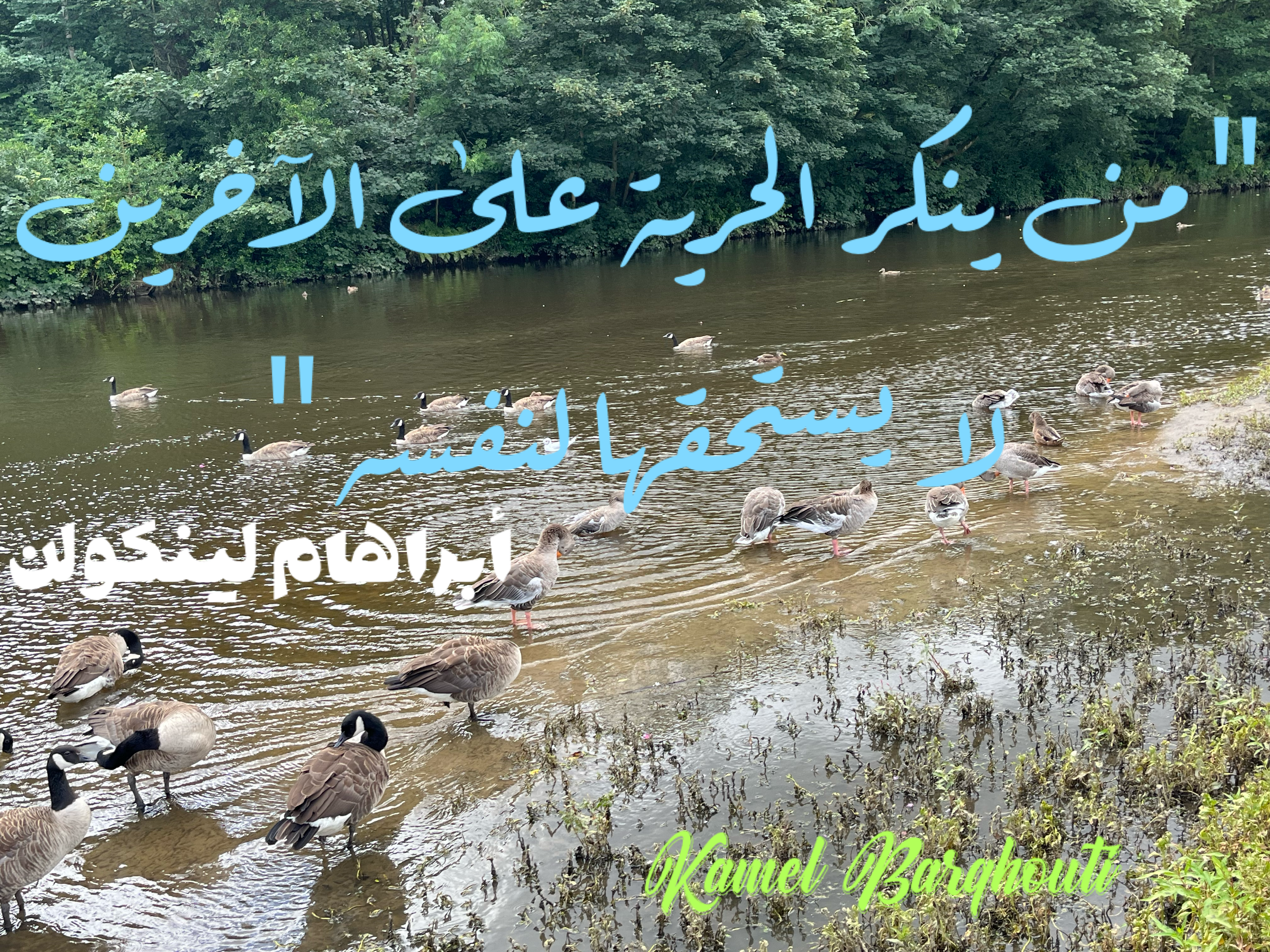 فخر وكرامة – اقتباس 8