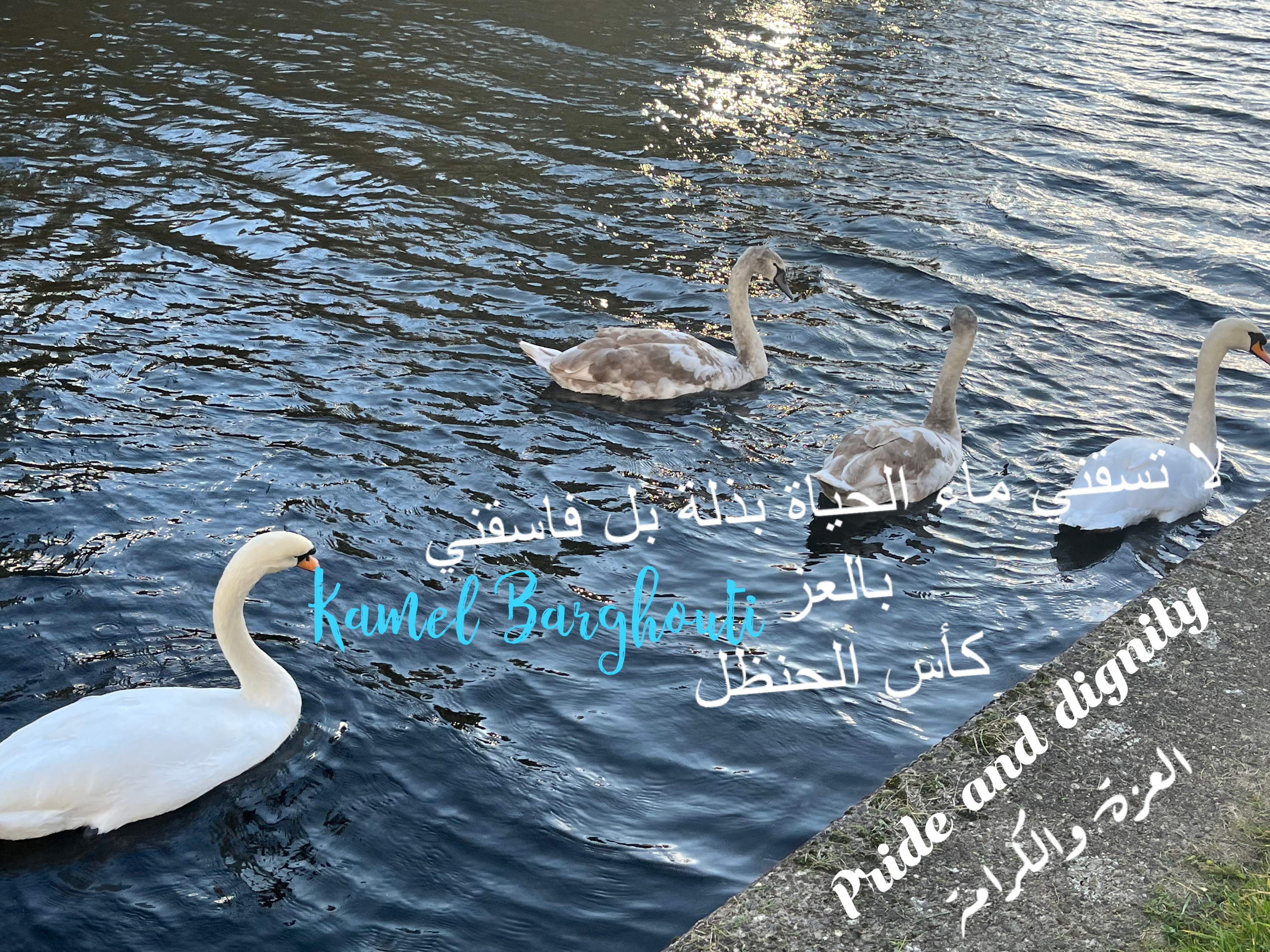 فخر وكرامة – اقتباس 4