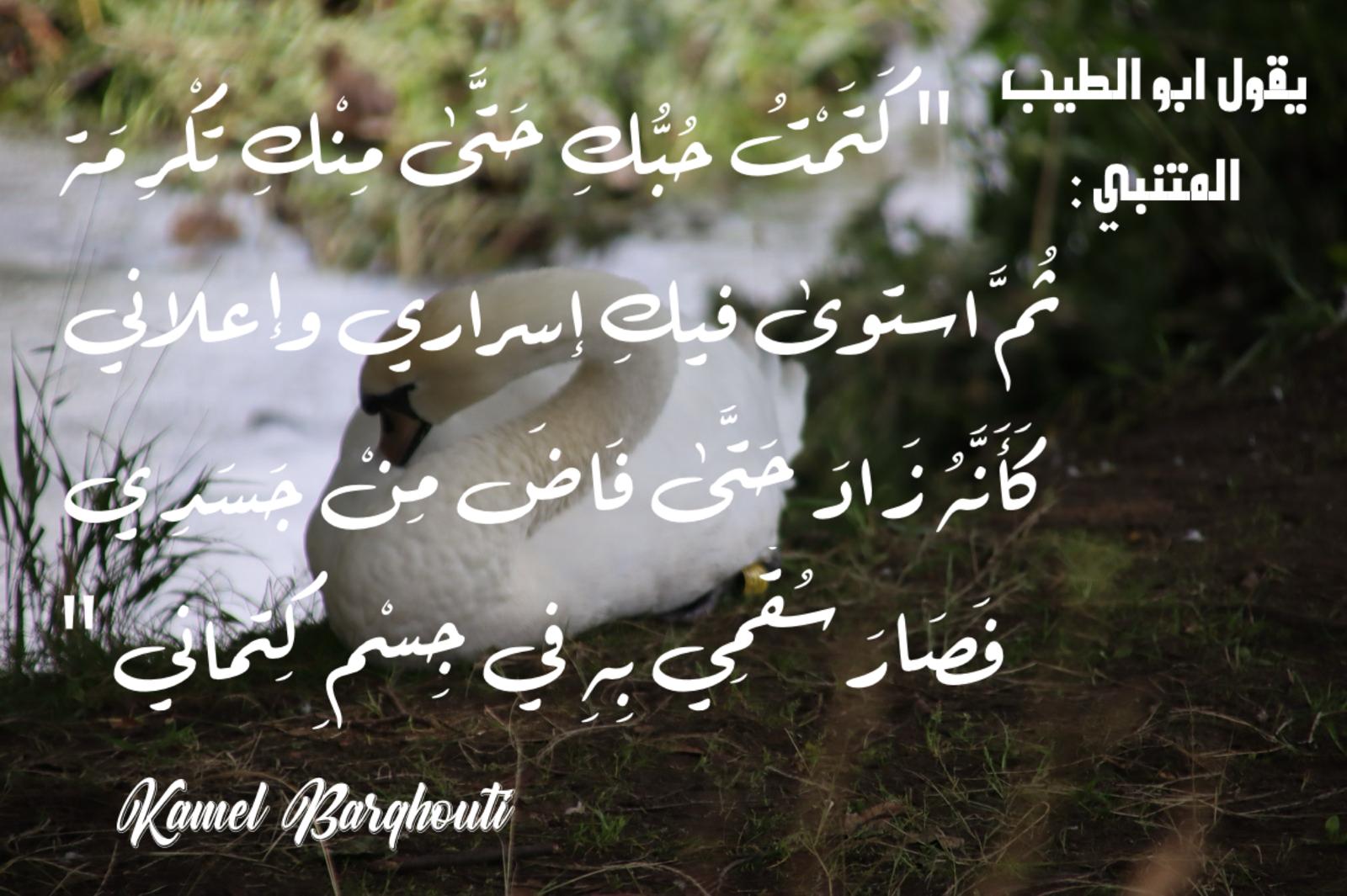 حب وحنين – اقتباس 437