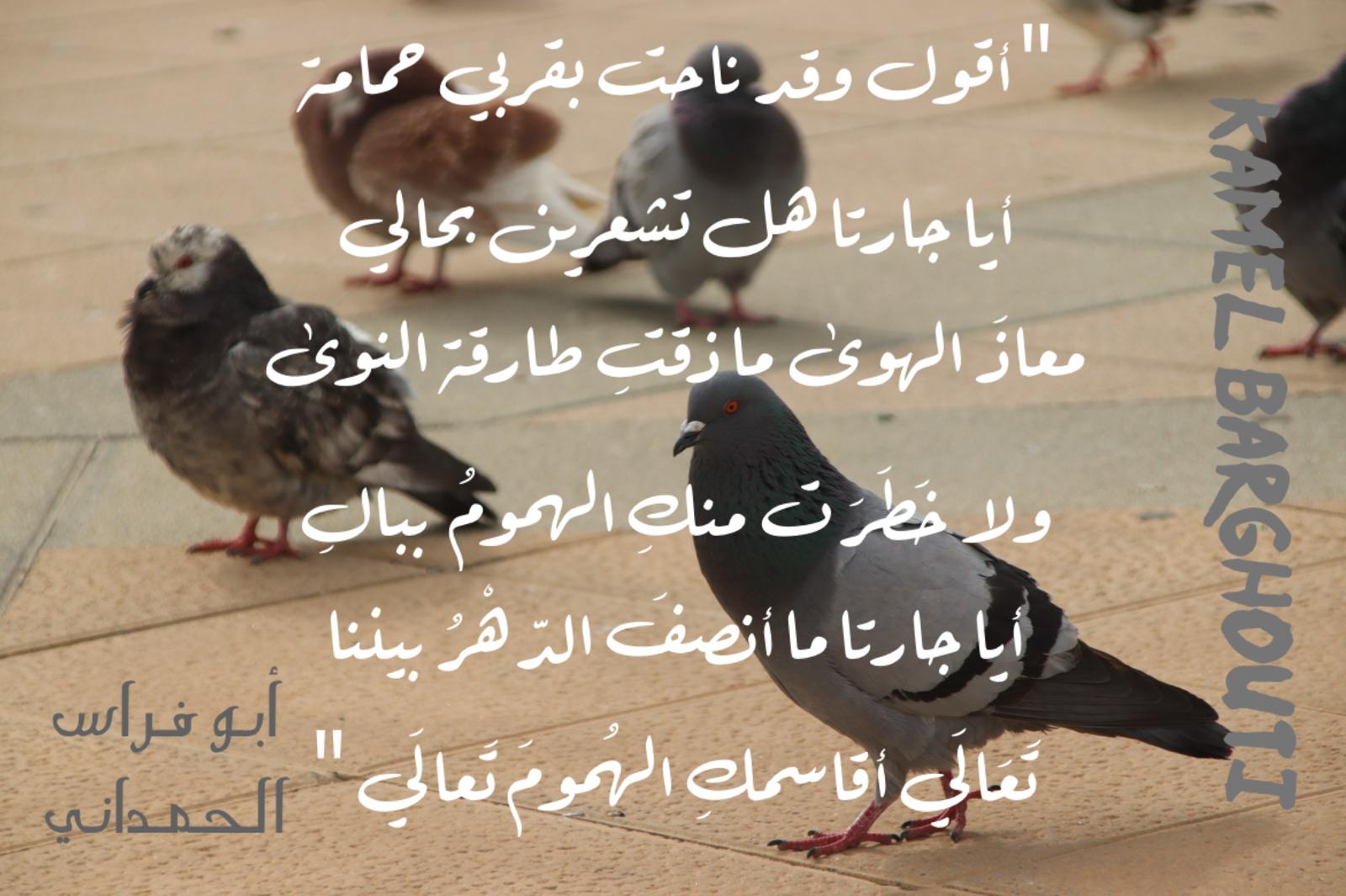حب وحنين – اقتباس 467