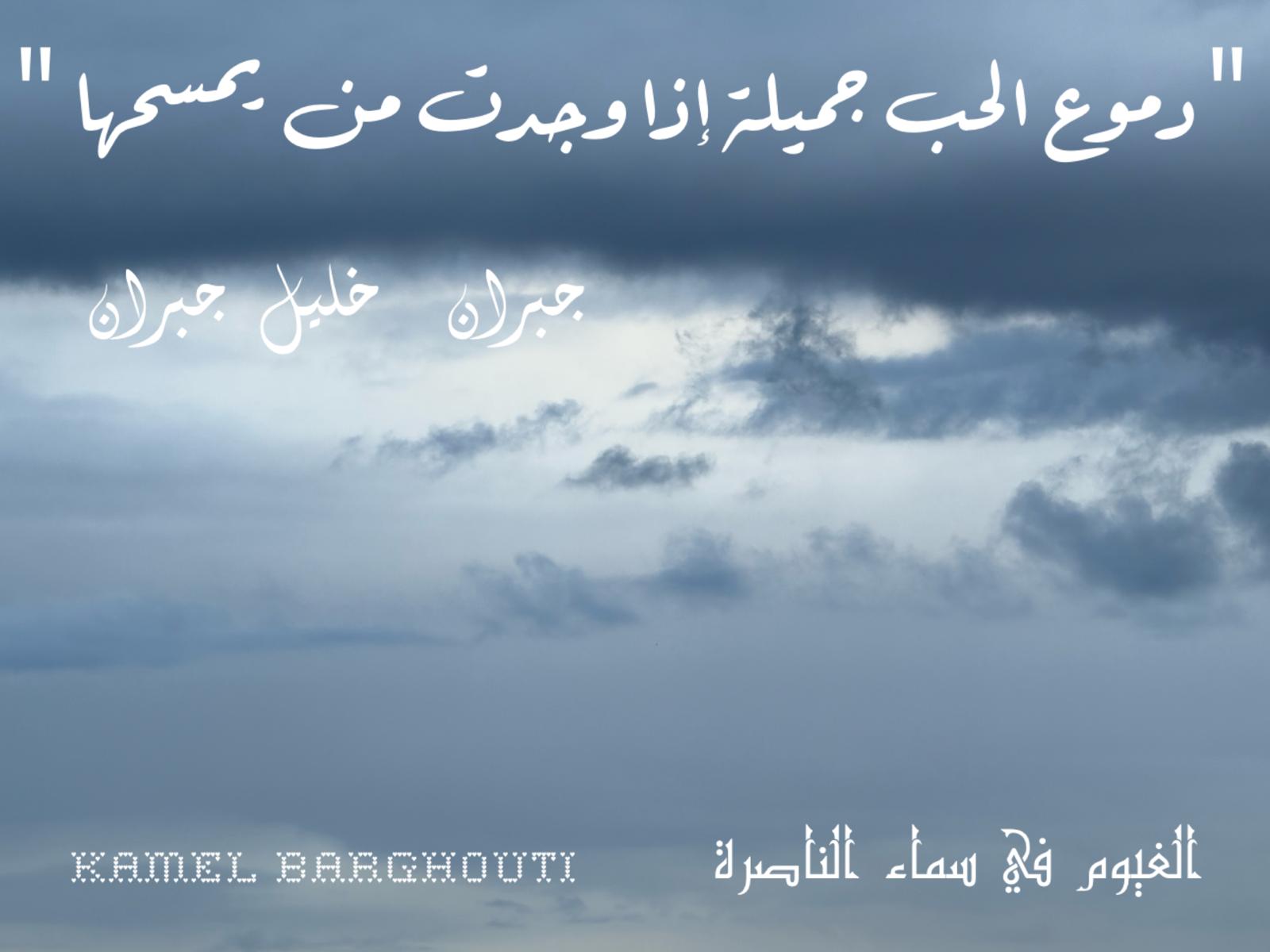 حب وحنين – اقتباس 446