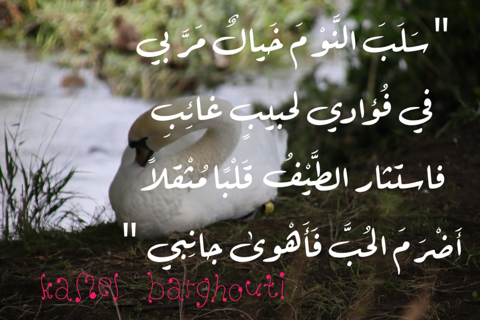 حب وحنين – اقتباس 473