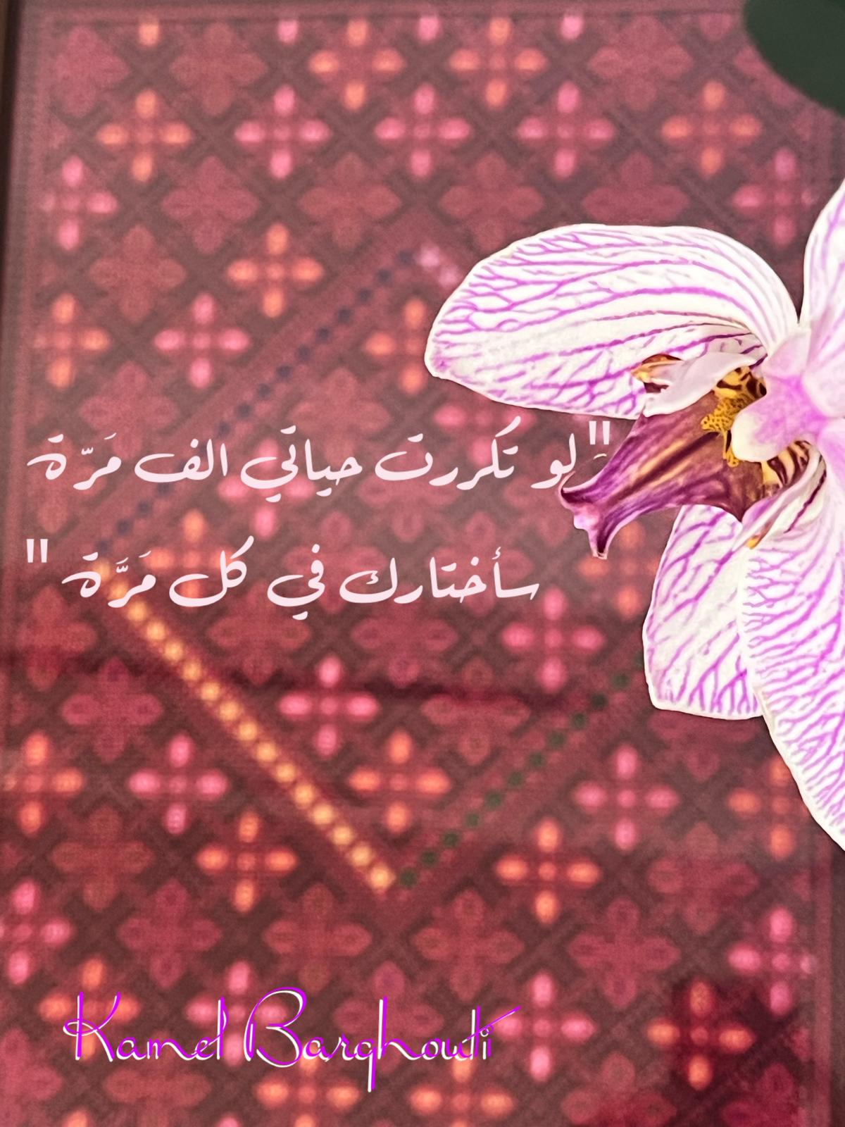 حب وحنين – اقتباس 421