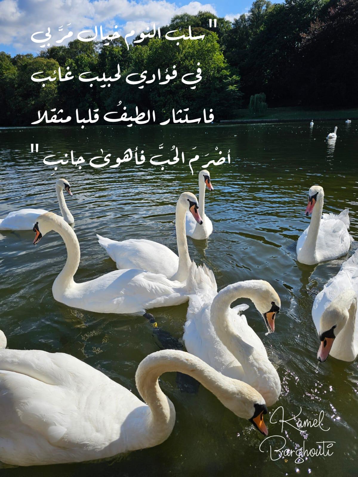 حب وحنين – اقتباس 426