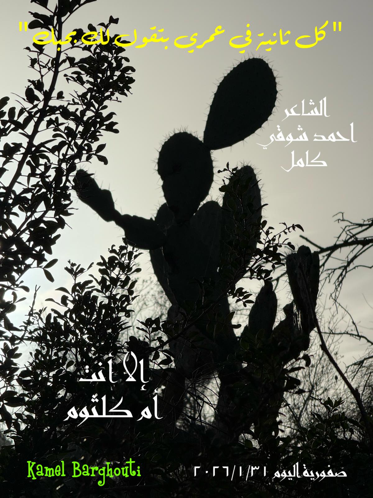 حب وحنين – اقتباس 412