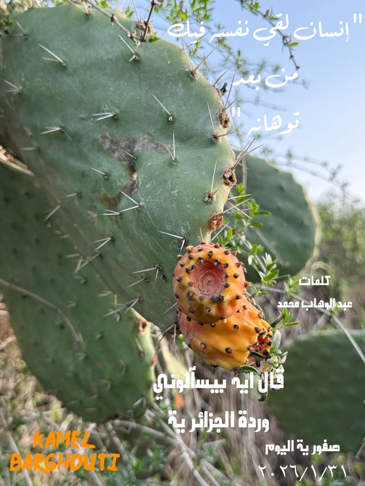 حب وحنين – اقتباس 415