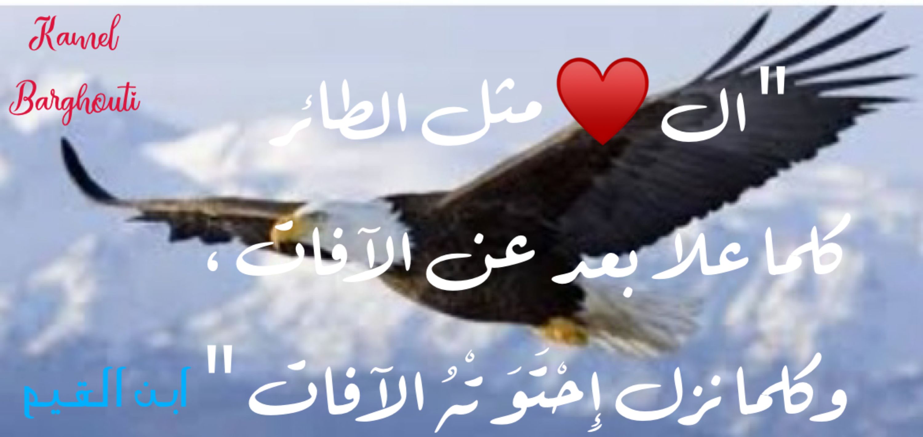 حب وحنين – اقتباس 433