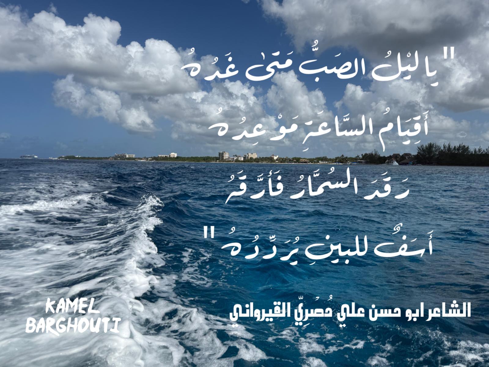 حب وحنين – اقتباس 410