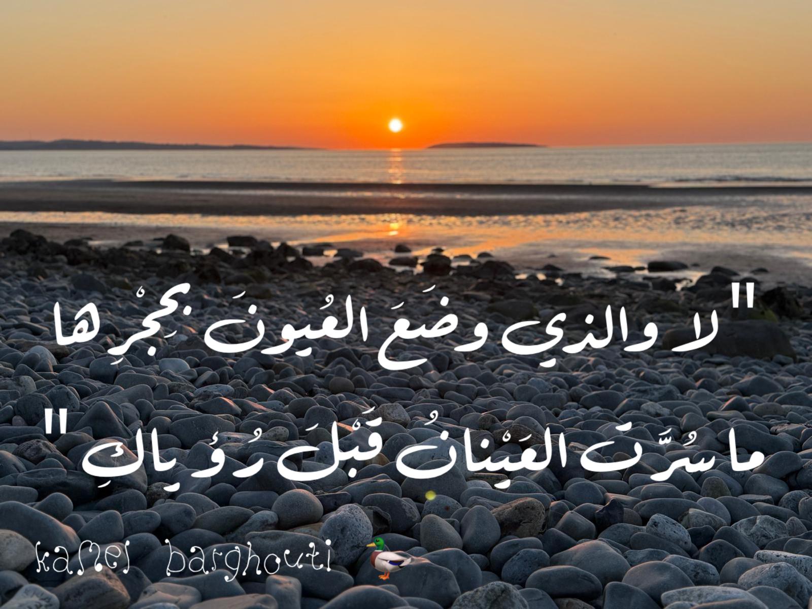 حب وحنين – اقتباس 419