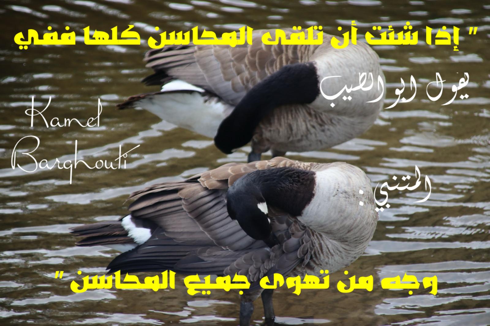 حب وحنين – اقتباس 413