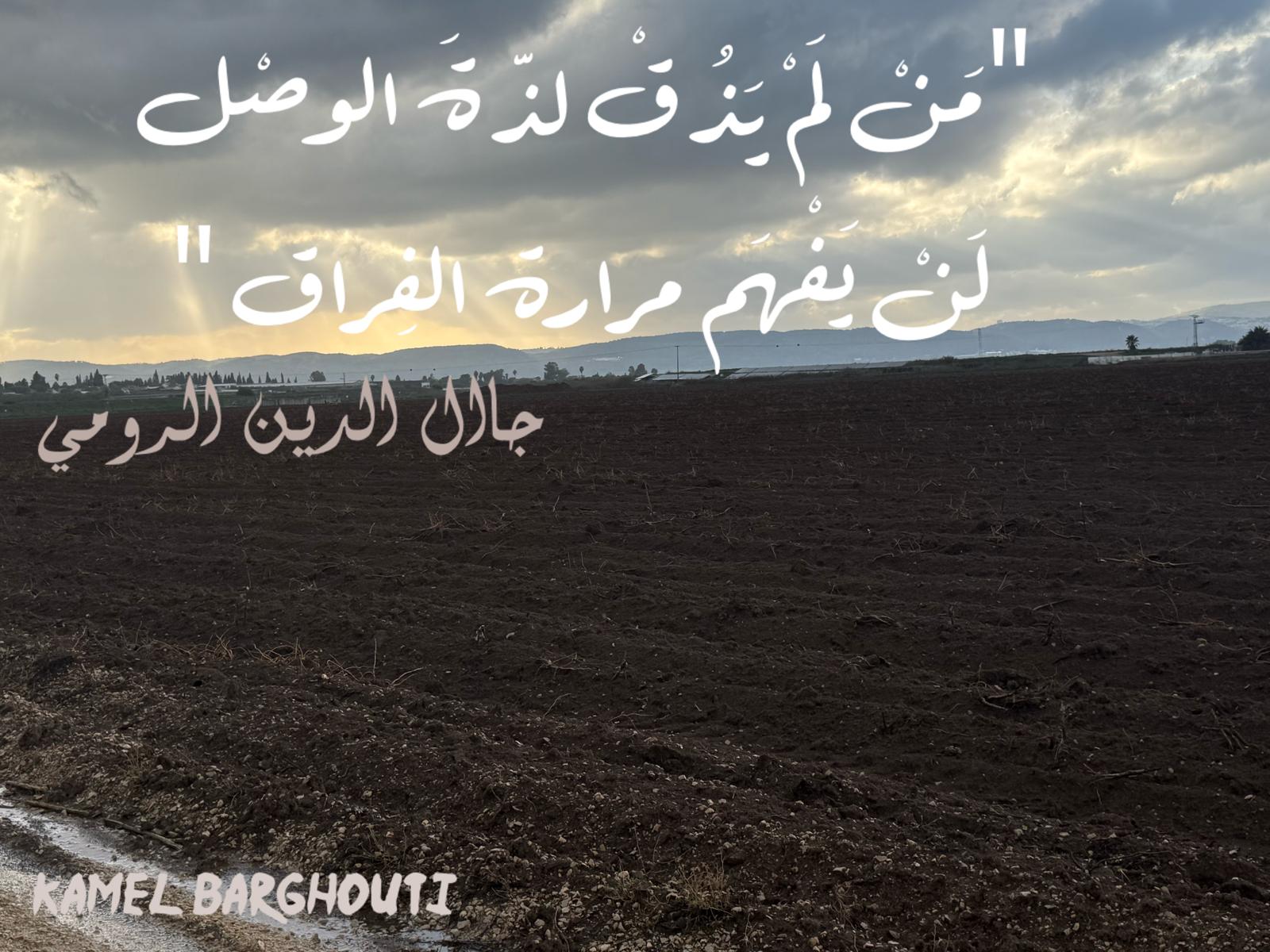 حب وحنين – اقتباس 402