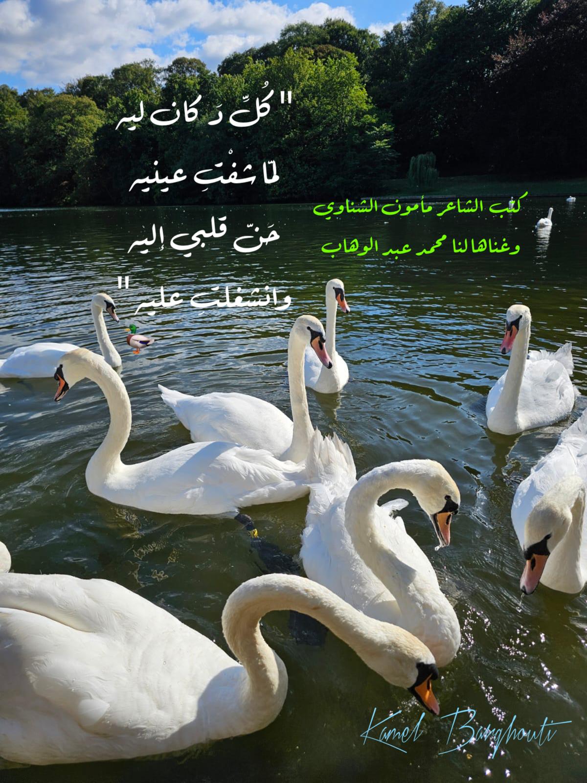 حب وحنين – اقتباس 385