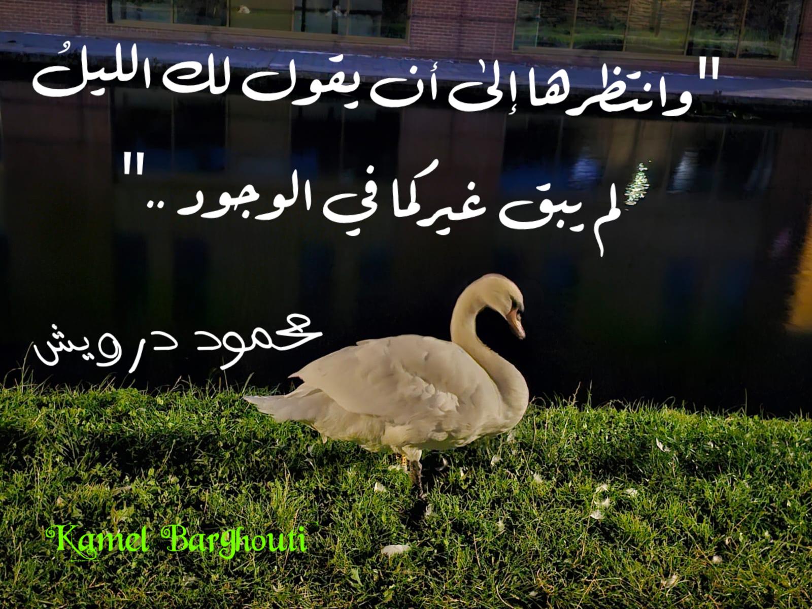 حب وحنين – اقتباس 386