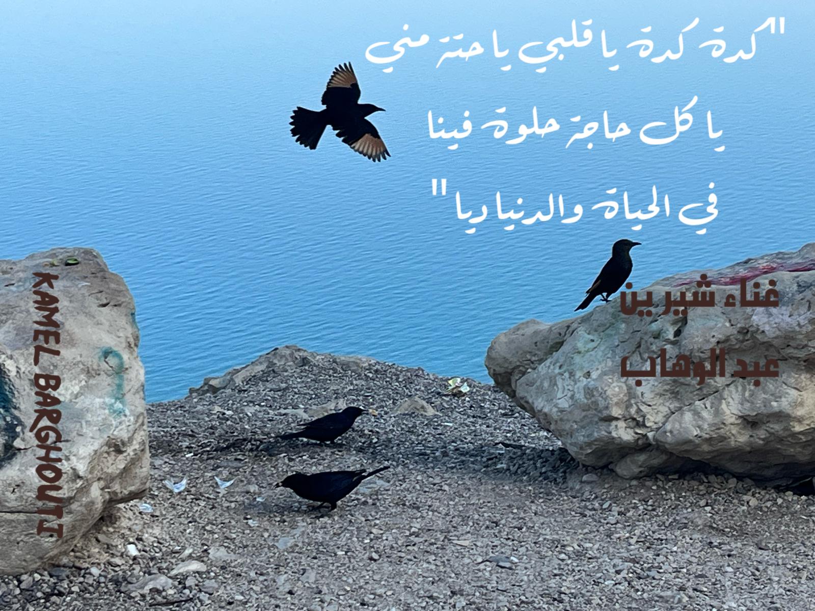 حب وحنين – اقتباس 381