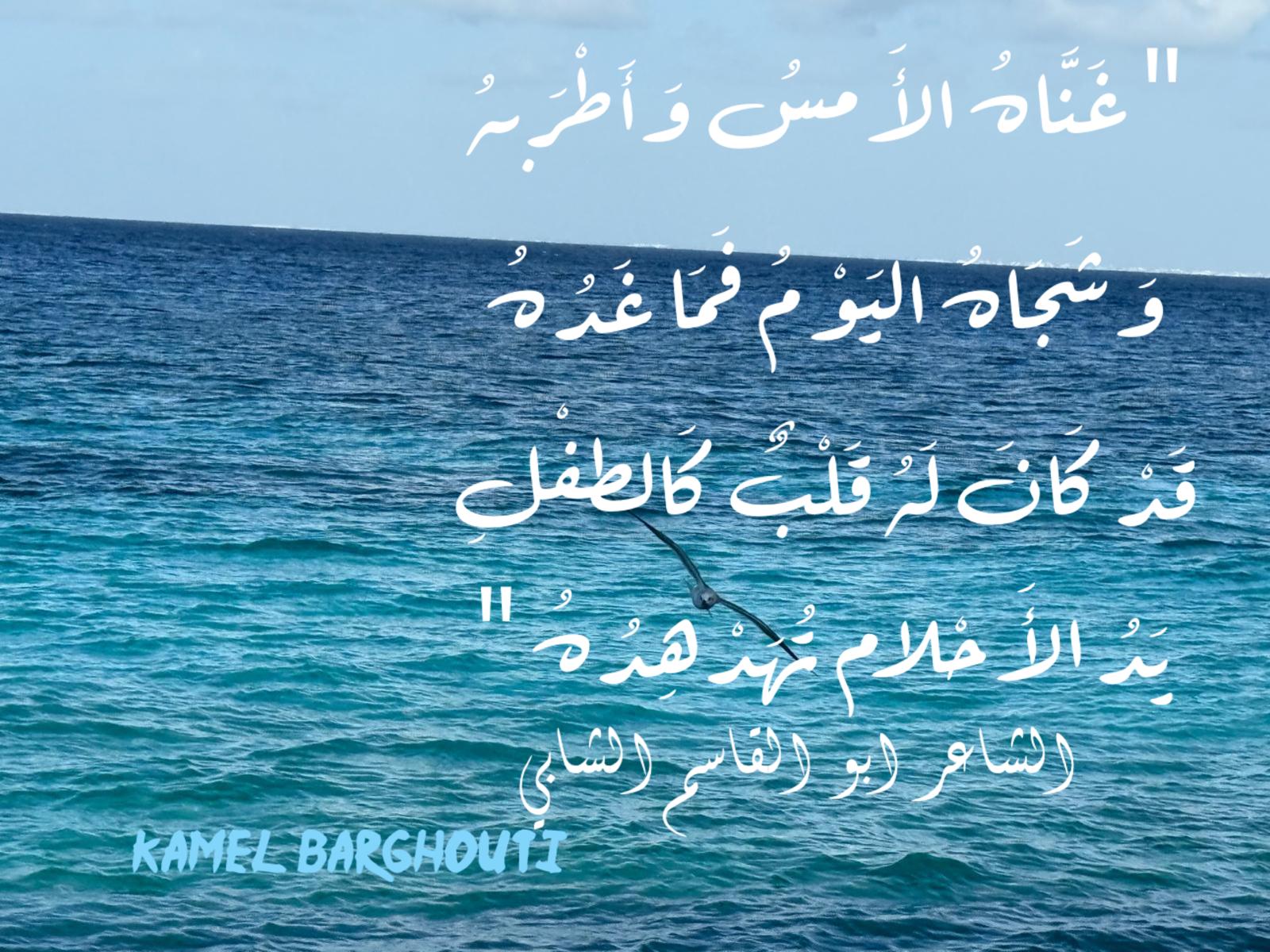حب وحنين – اقتباس 380