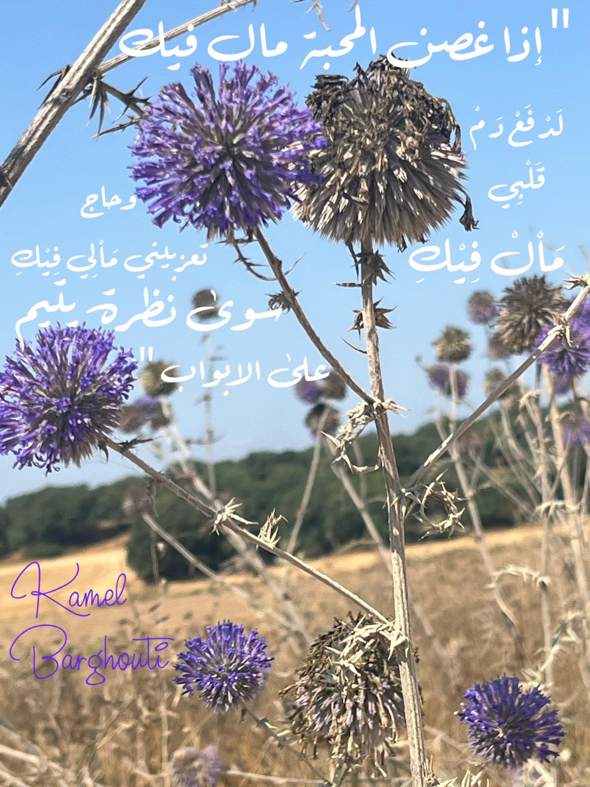 حب وحنين – اقتباس 370