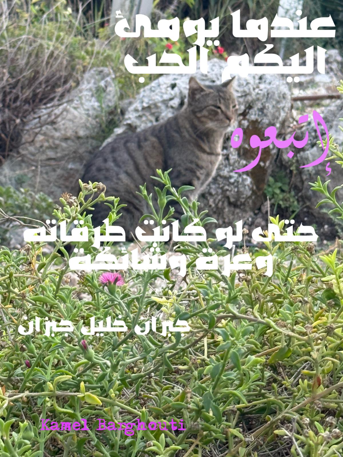 حب وحنين – اقتباس 340