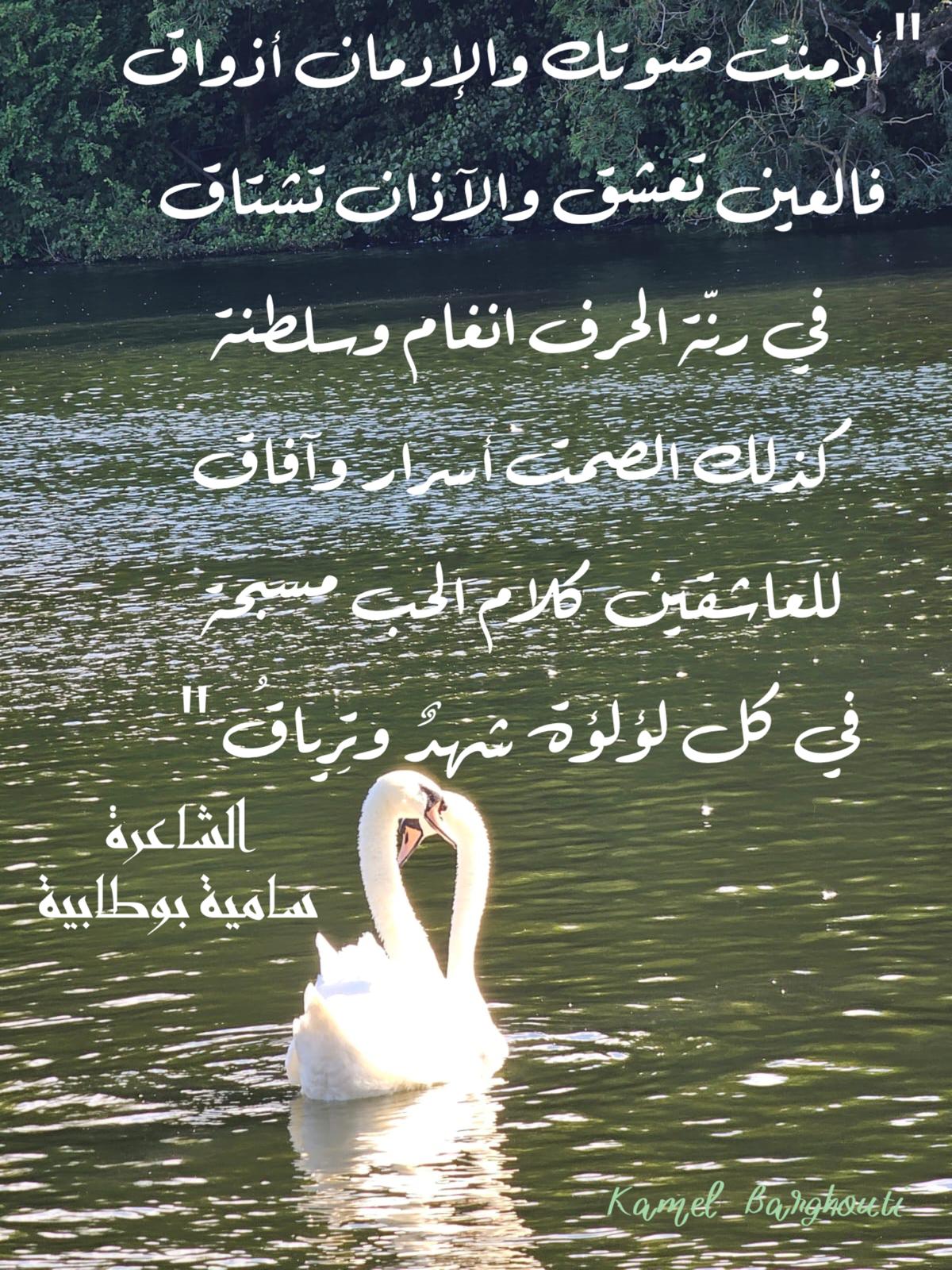 حب وحنين – اقتباس 320