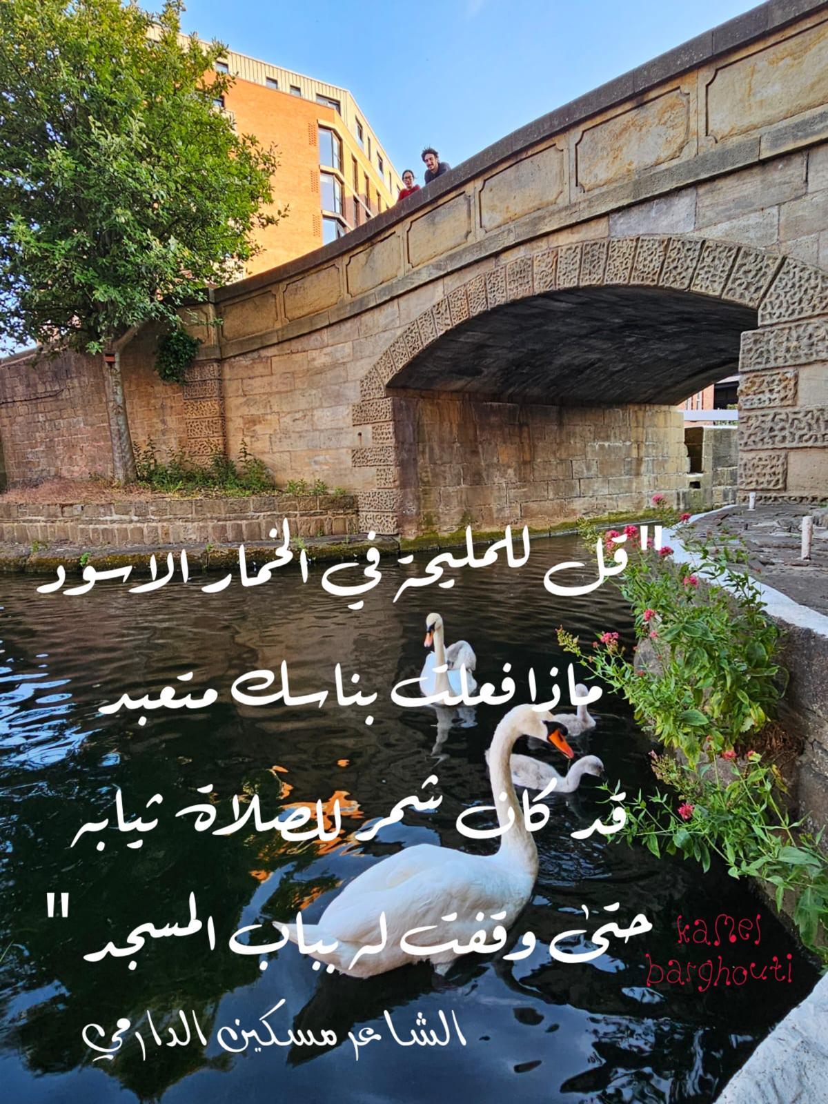 حب وحنين – اقتباس 345