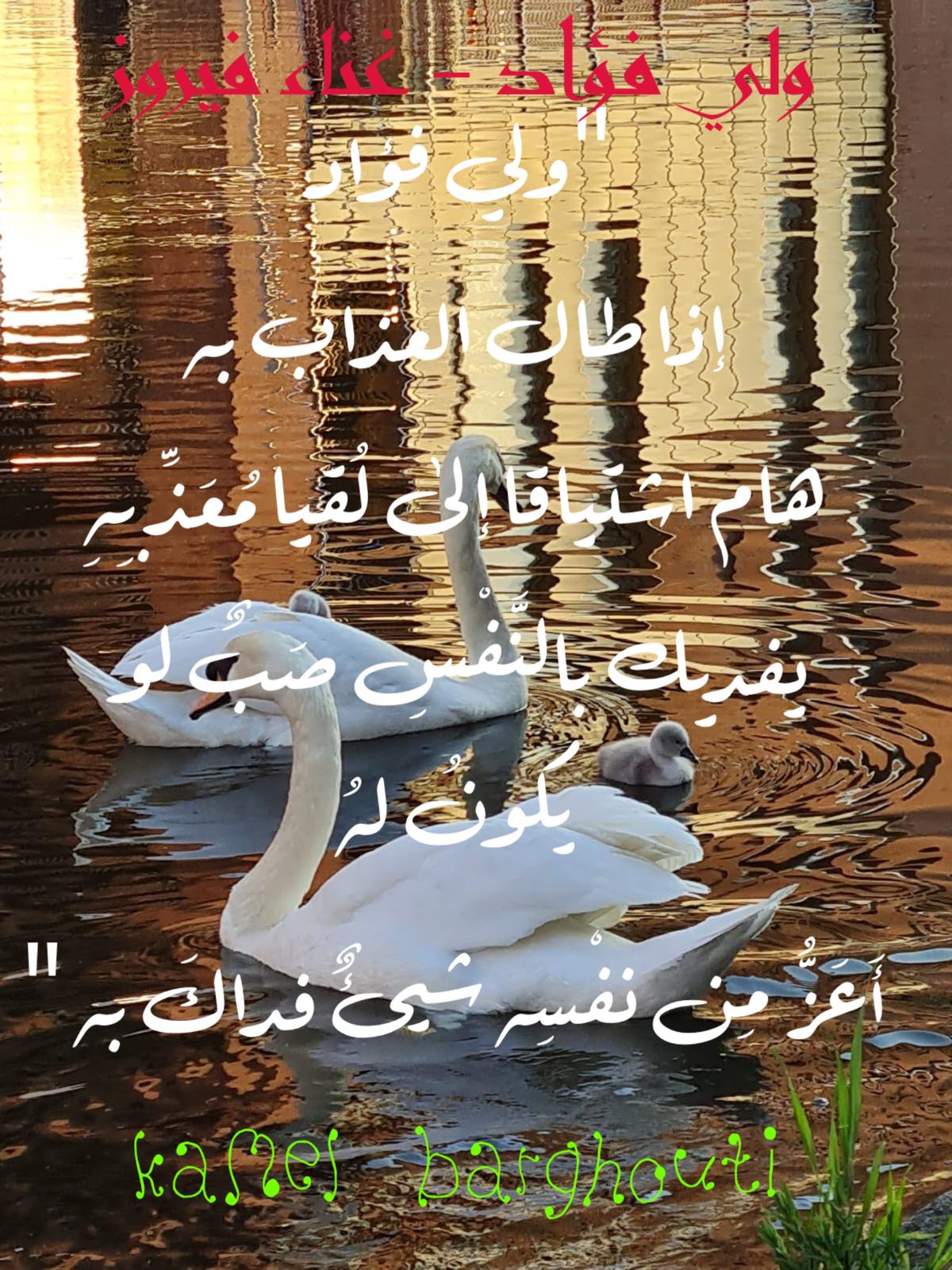 حب وحنين – اقتباس 337