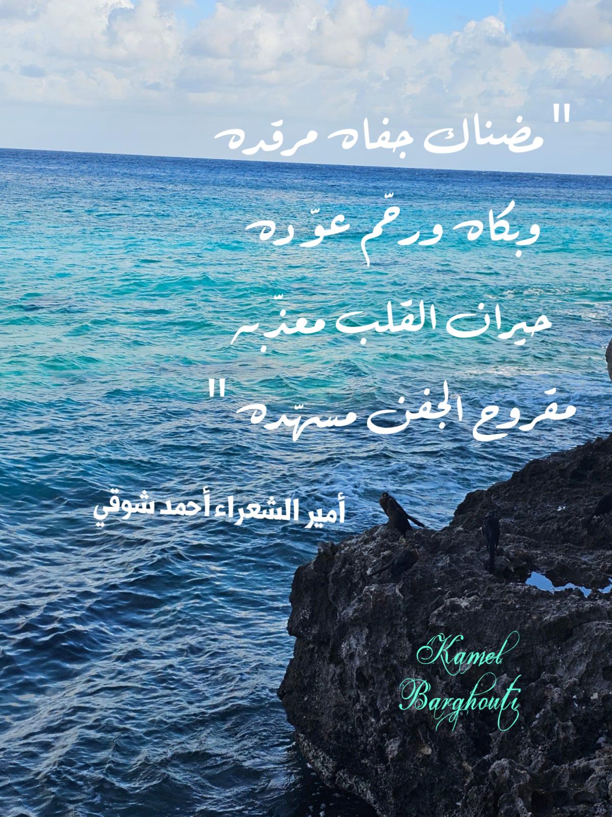 حب وحنين – اقتباس 342