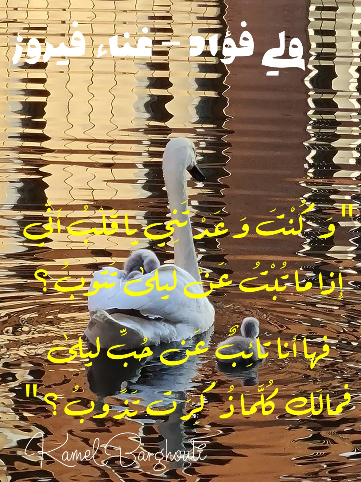 حب وحنين – اقتباس 355