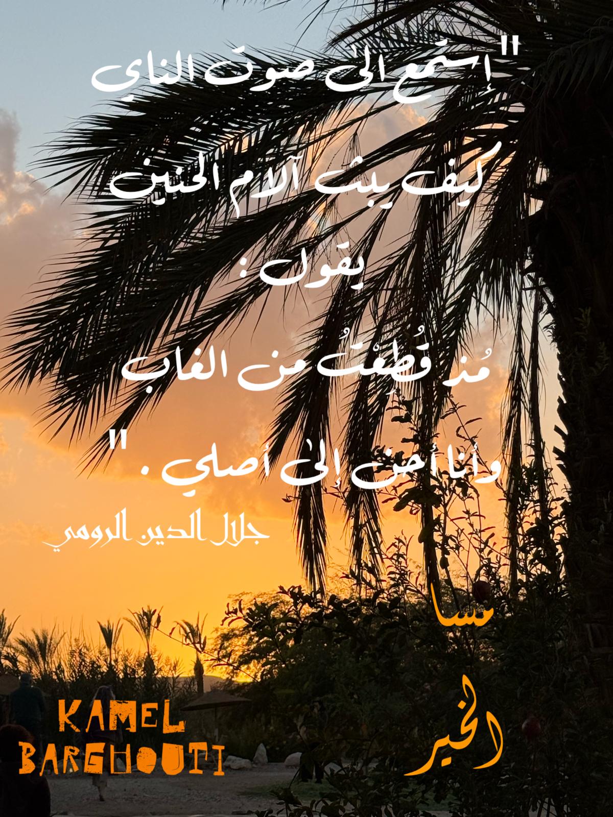 حب وحنين – اقتباس 339