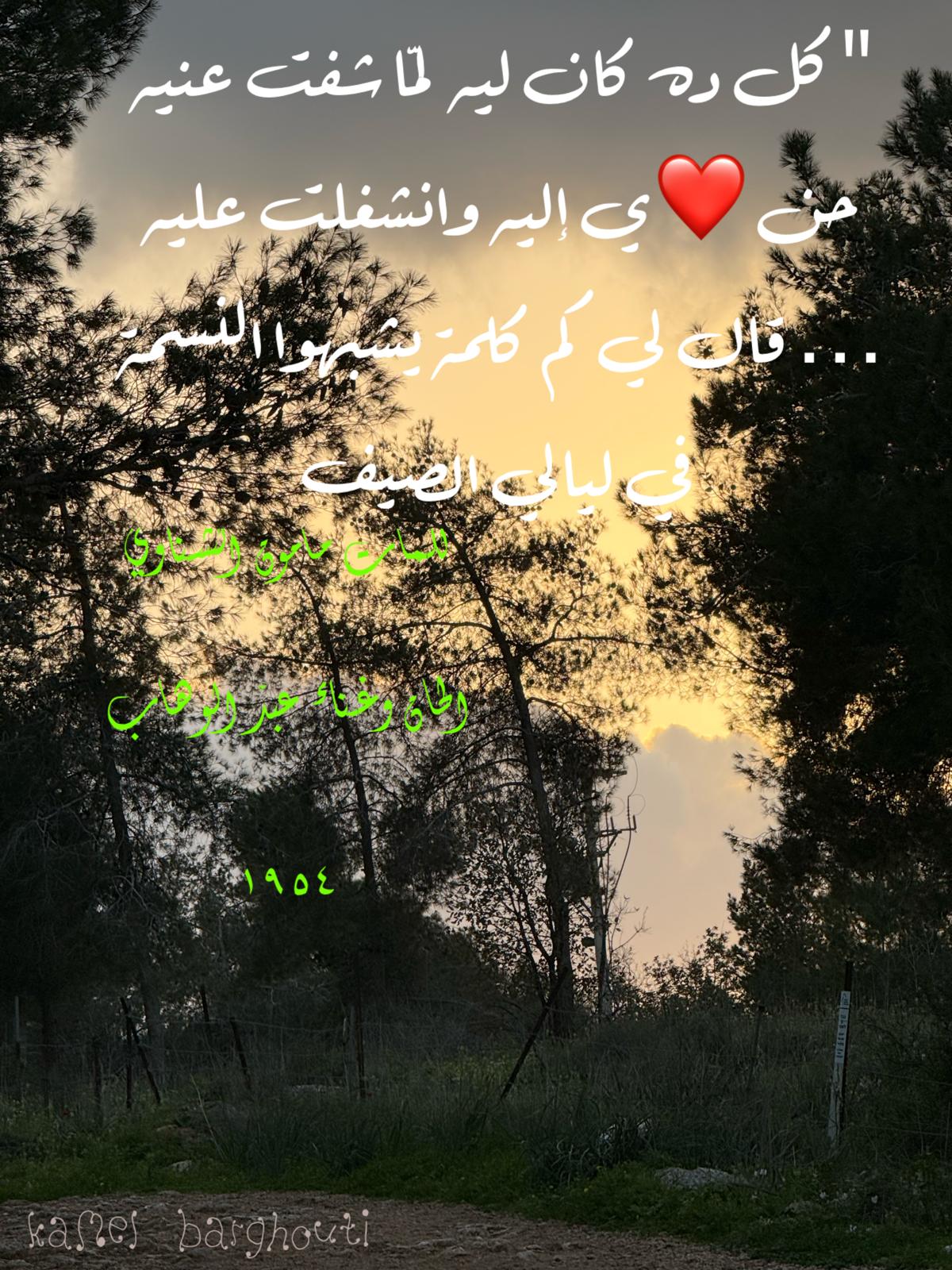 حب وحنين – اقتباس 348