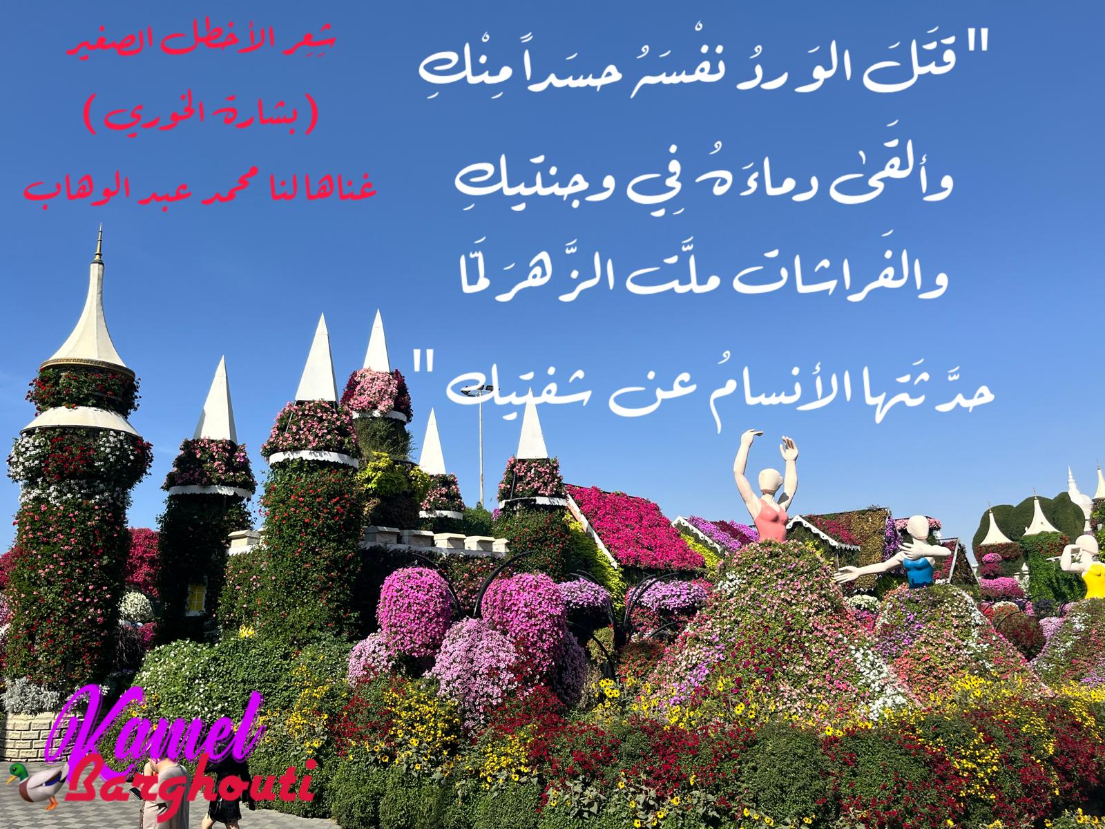 حب وحنين – اقتباس 331