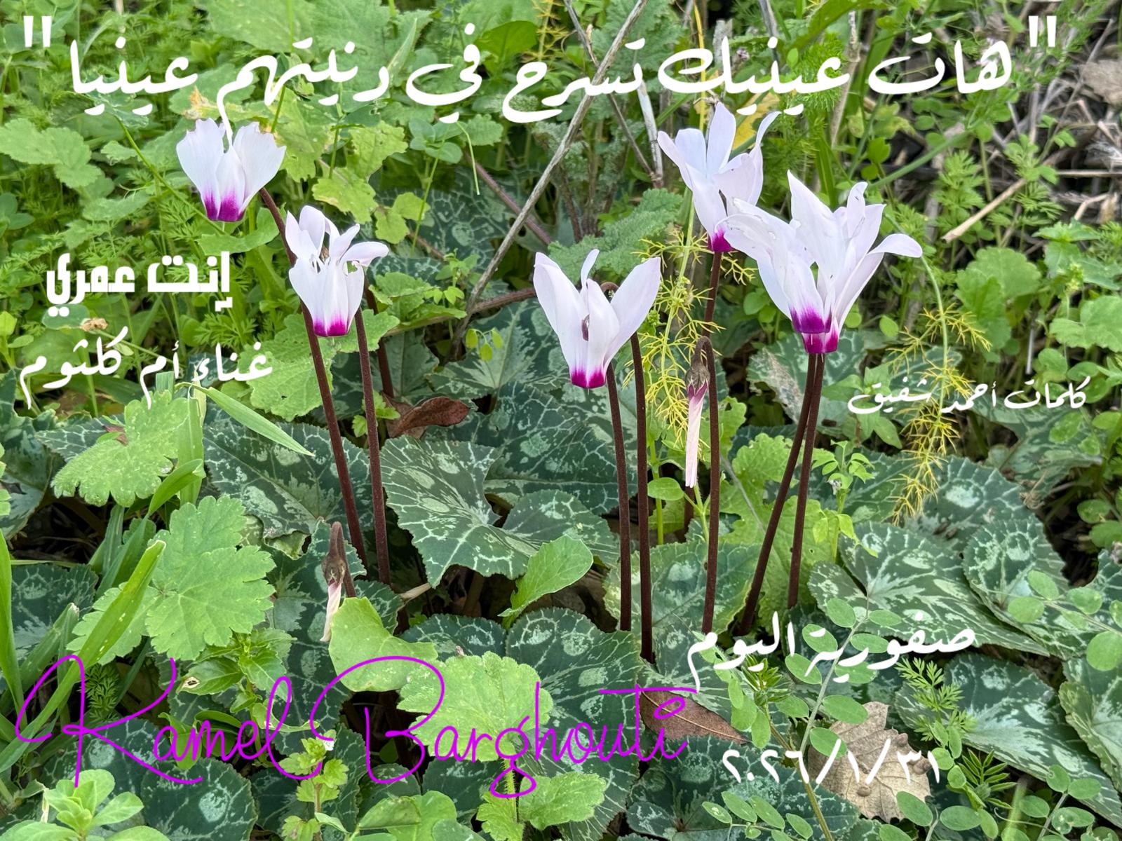 حب وحنين – اقتباس 312