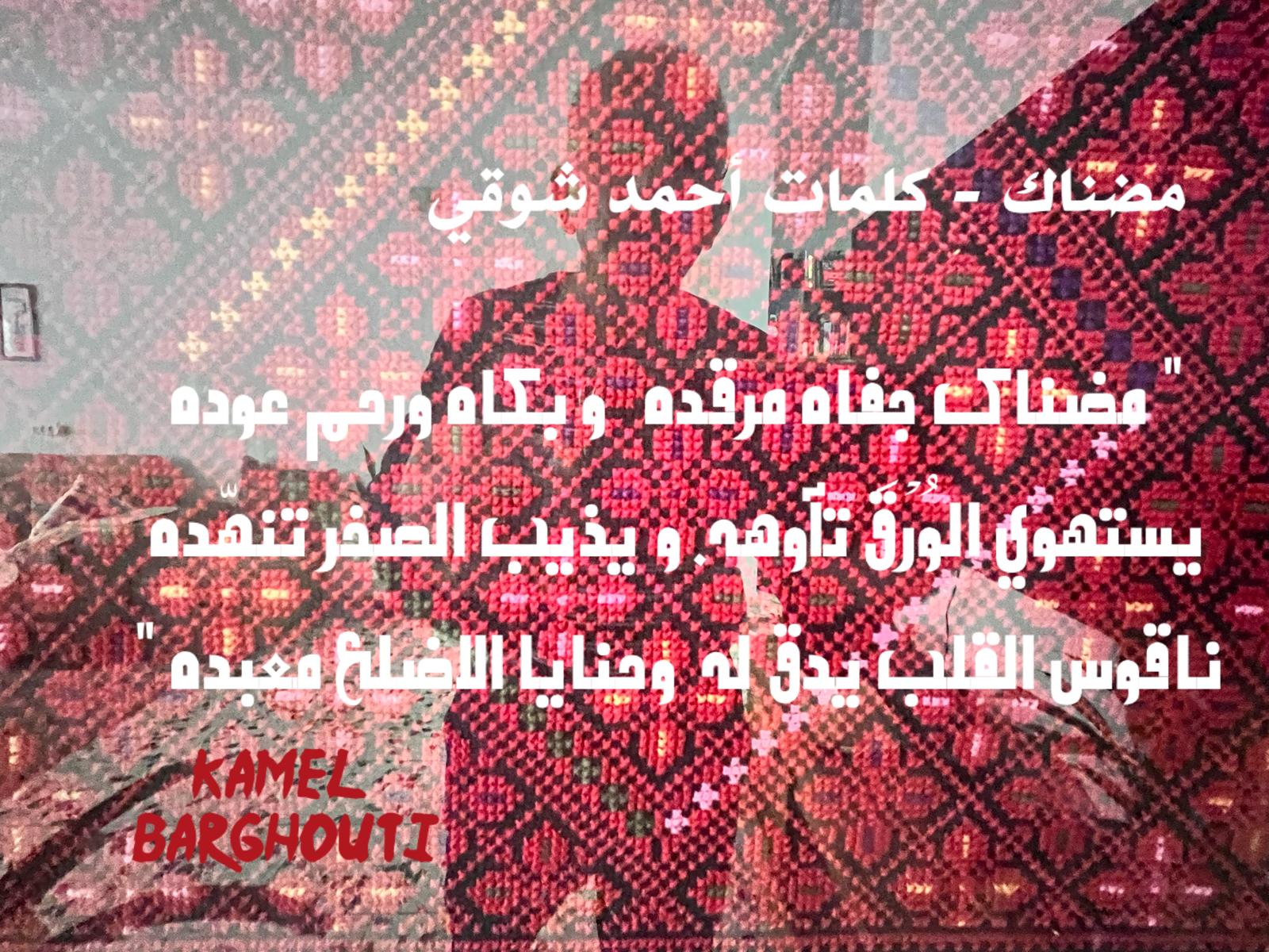 حب وحنين – اقتباس 334