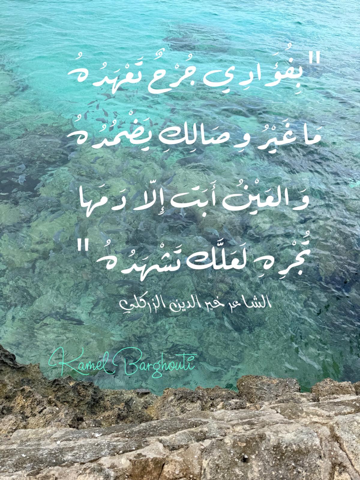 حب وحنين – اقتباس 330