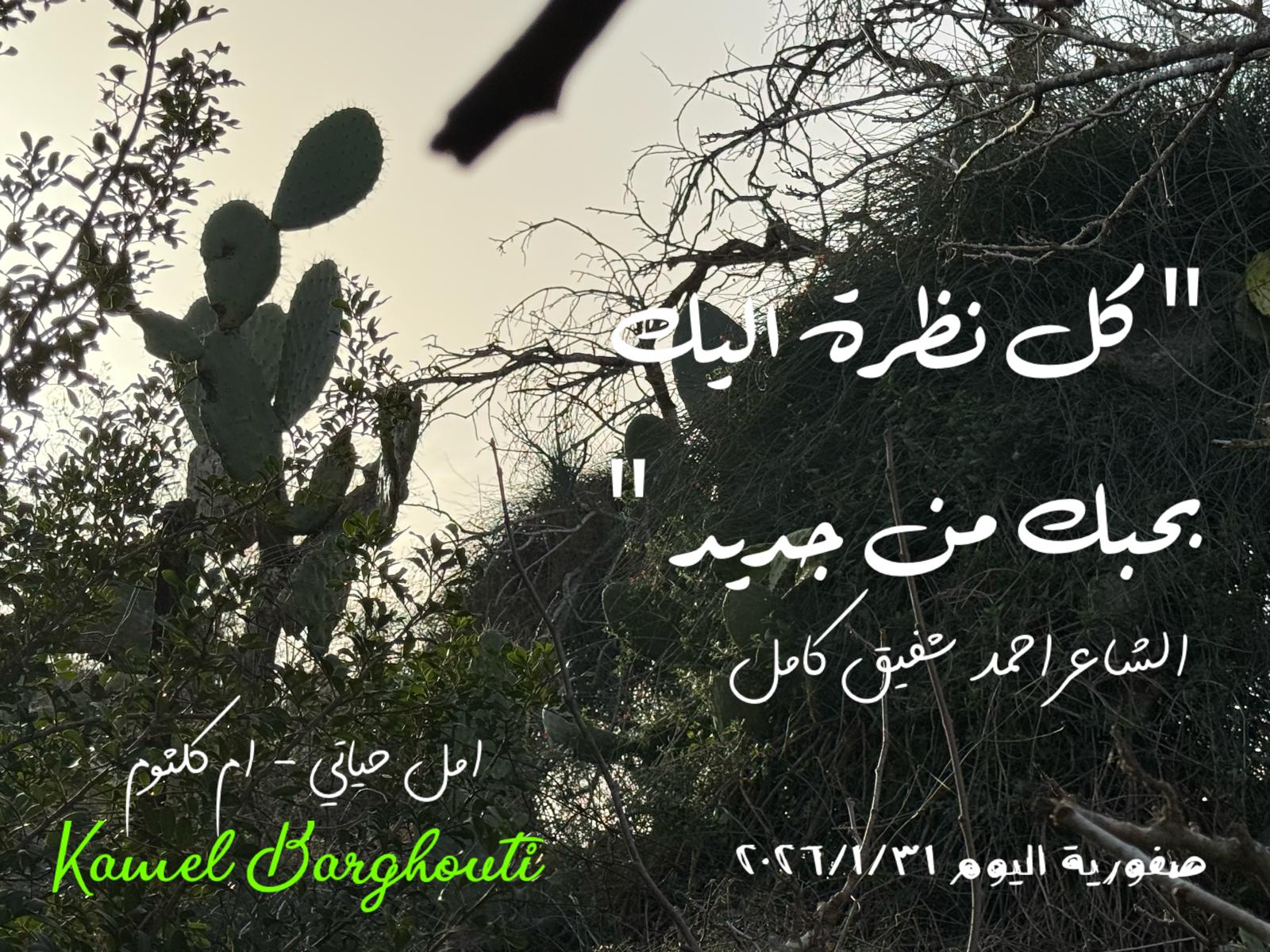 حب وحنين – اقتباس 325