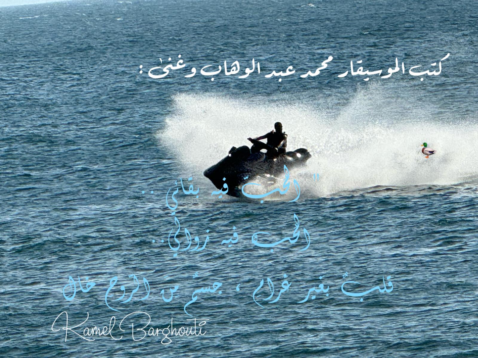 حب وحنين – اقتباس 314