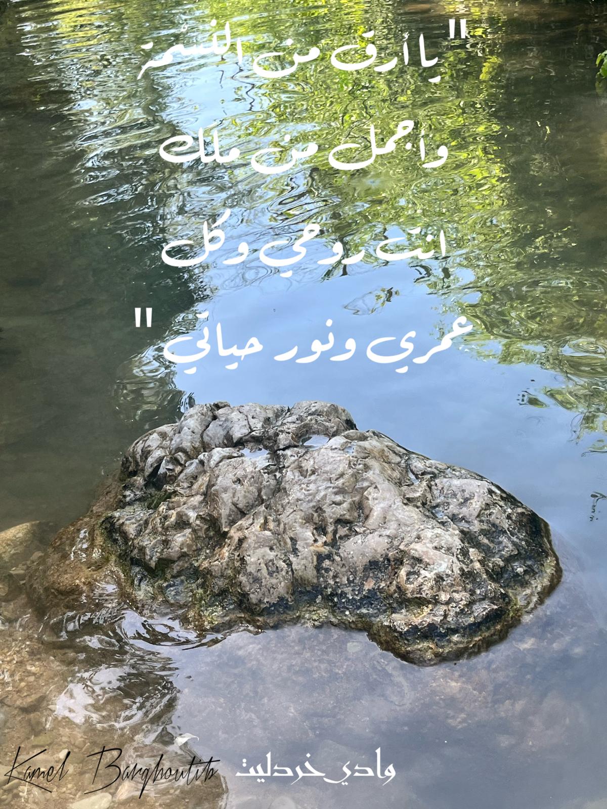 حب وحنين – اقتباس 321