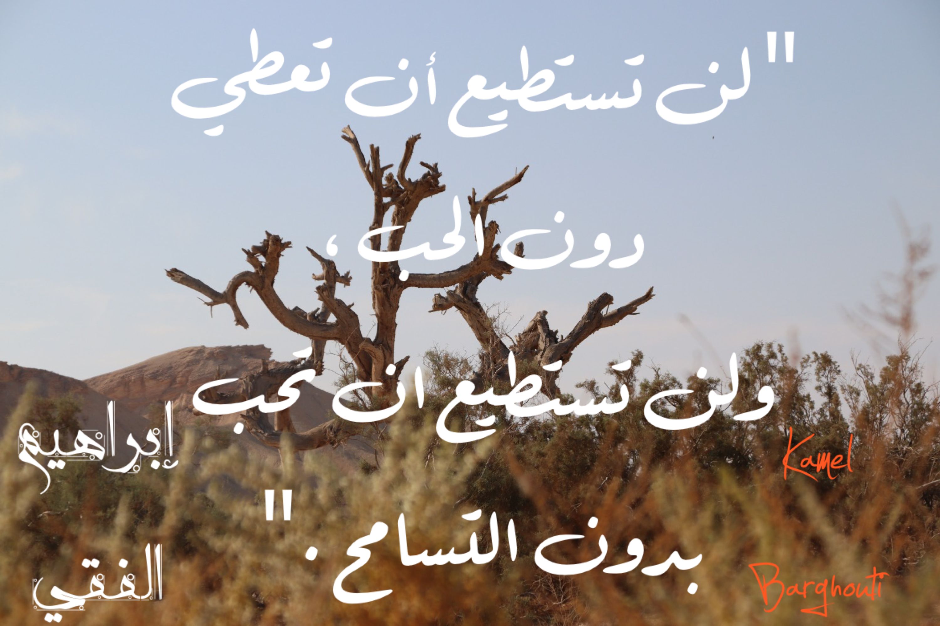 حب وحنين – اقتباس 306