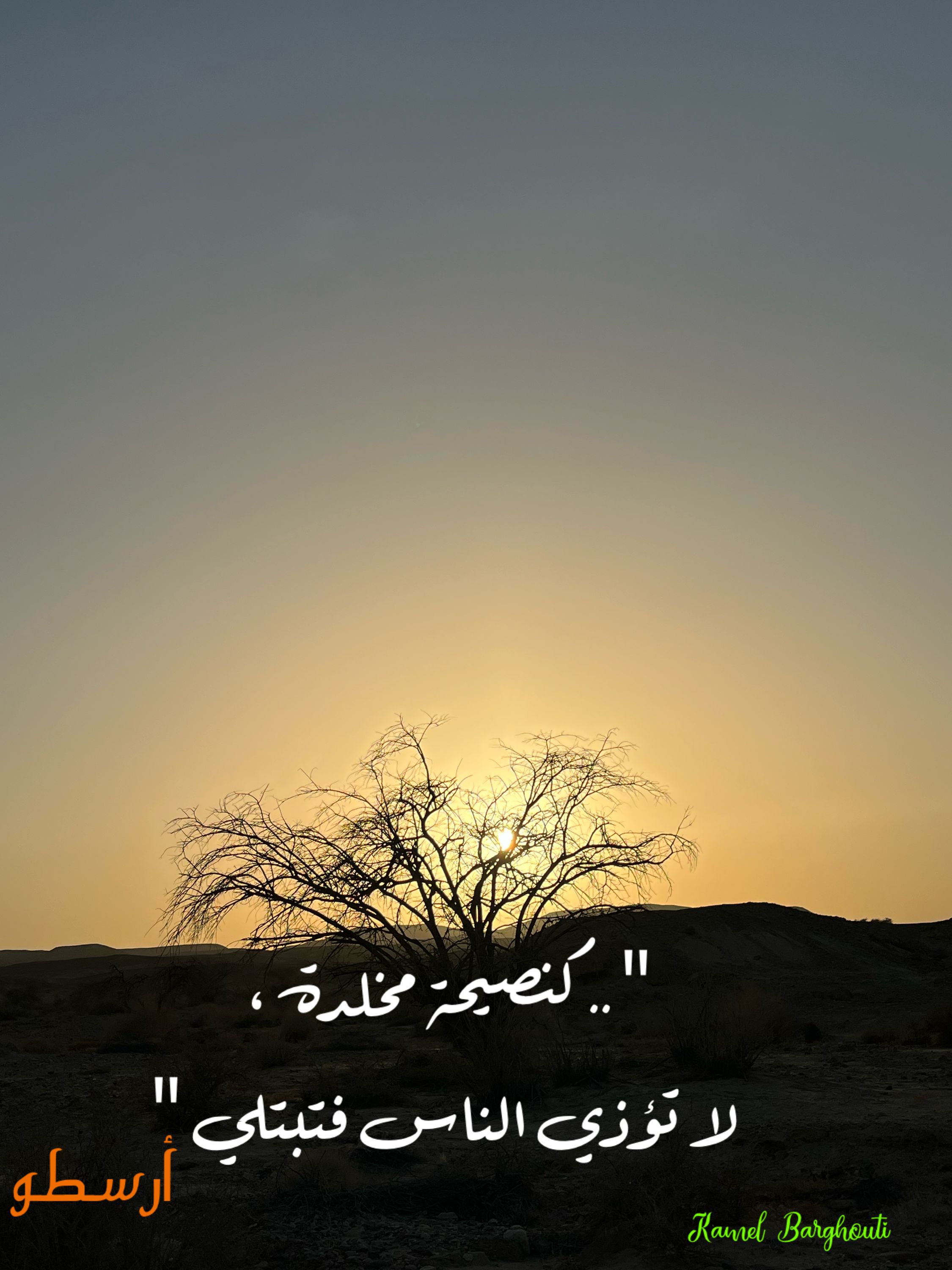 حب وحنين – اقتباس 302