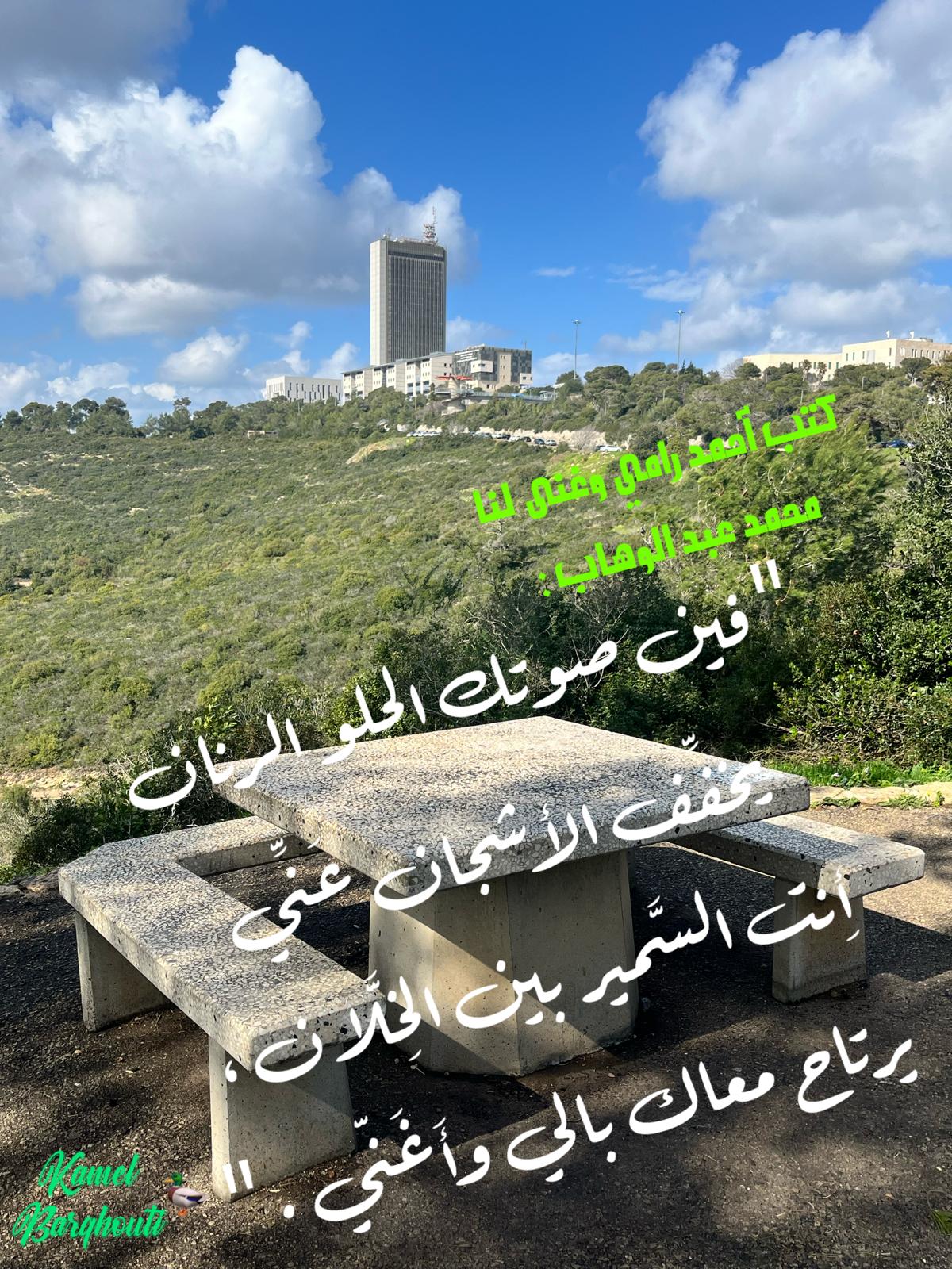حب وحنين – اقتباس 295
