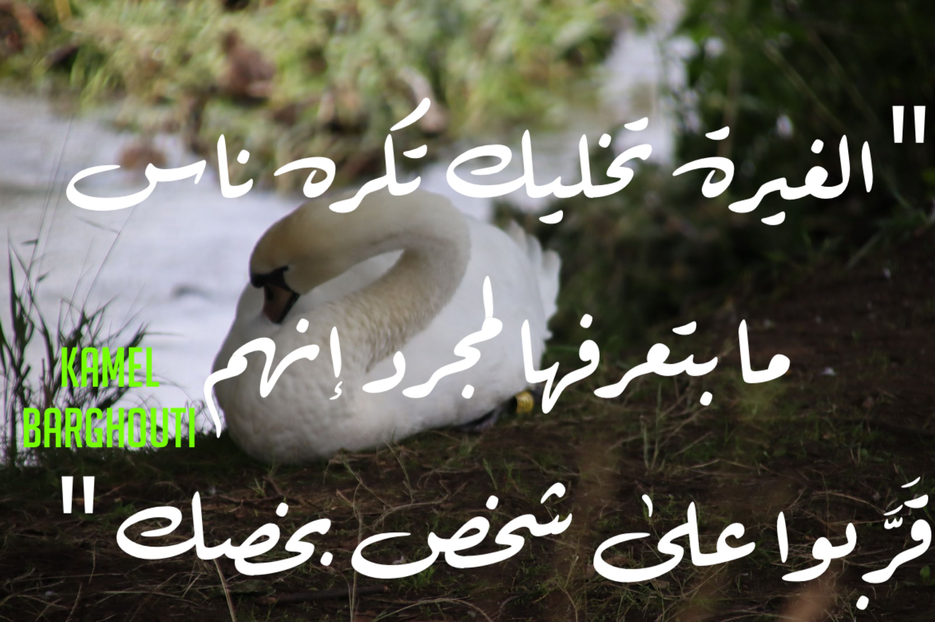 حب وحنين – اقتباس 299