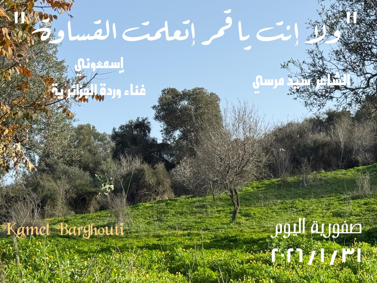 حب وحنين – اقتباس 296