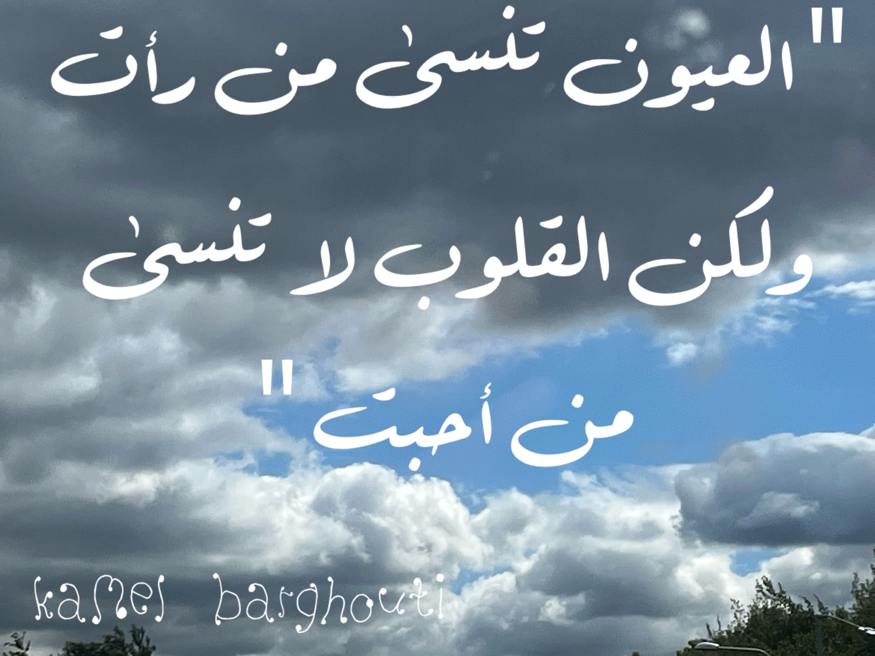 حب وحنين – اقتباس 288