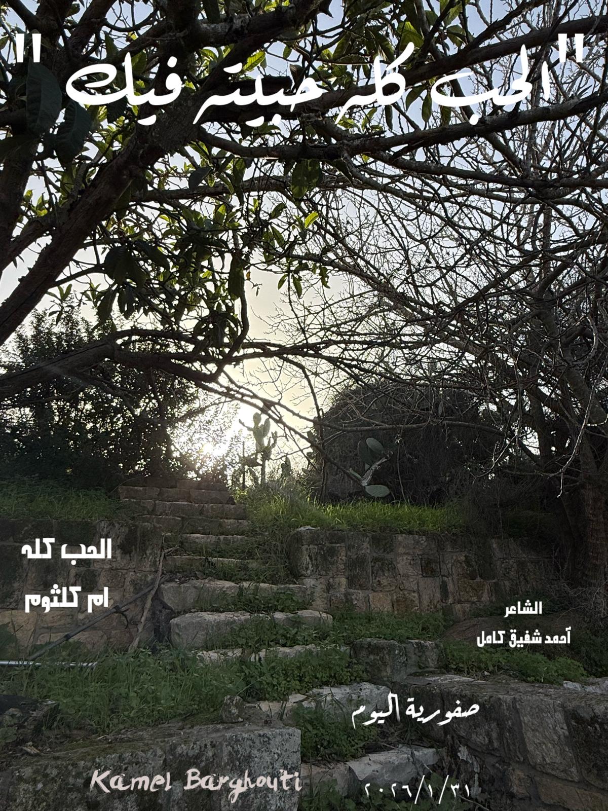 حب وحنين – اقتباس 286